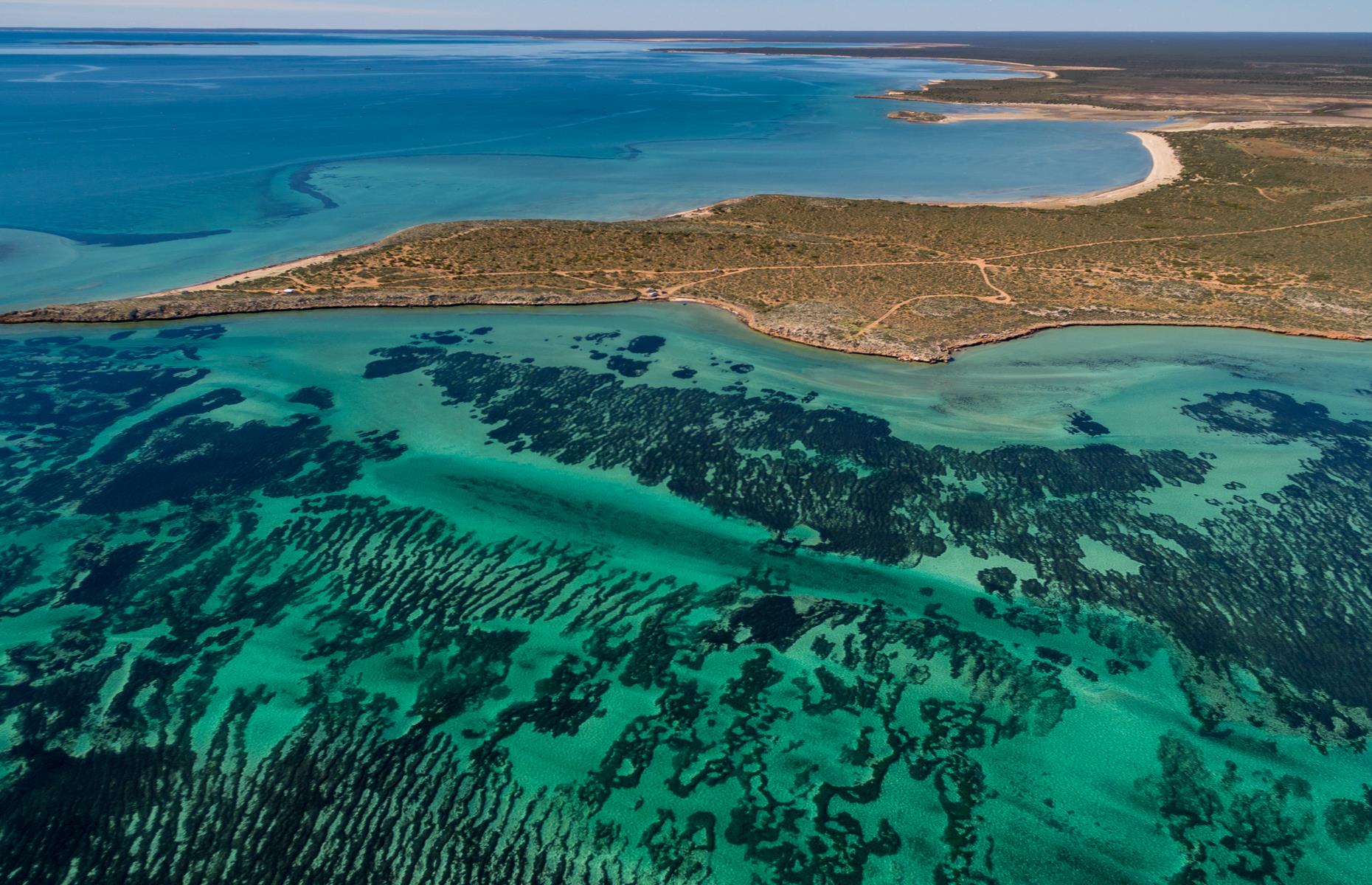 Dorre Island, Western Australia