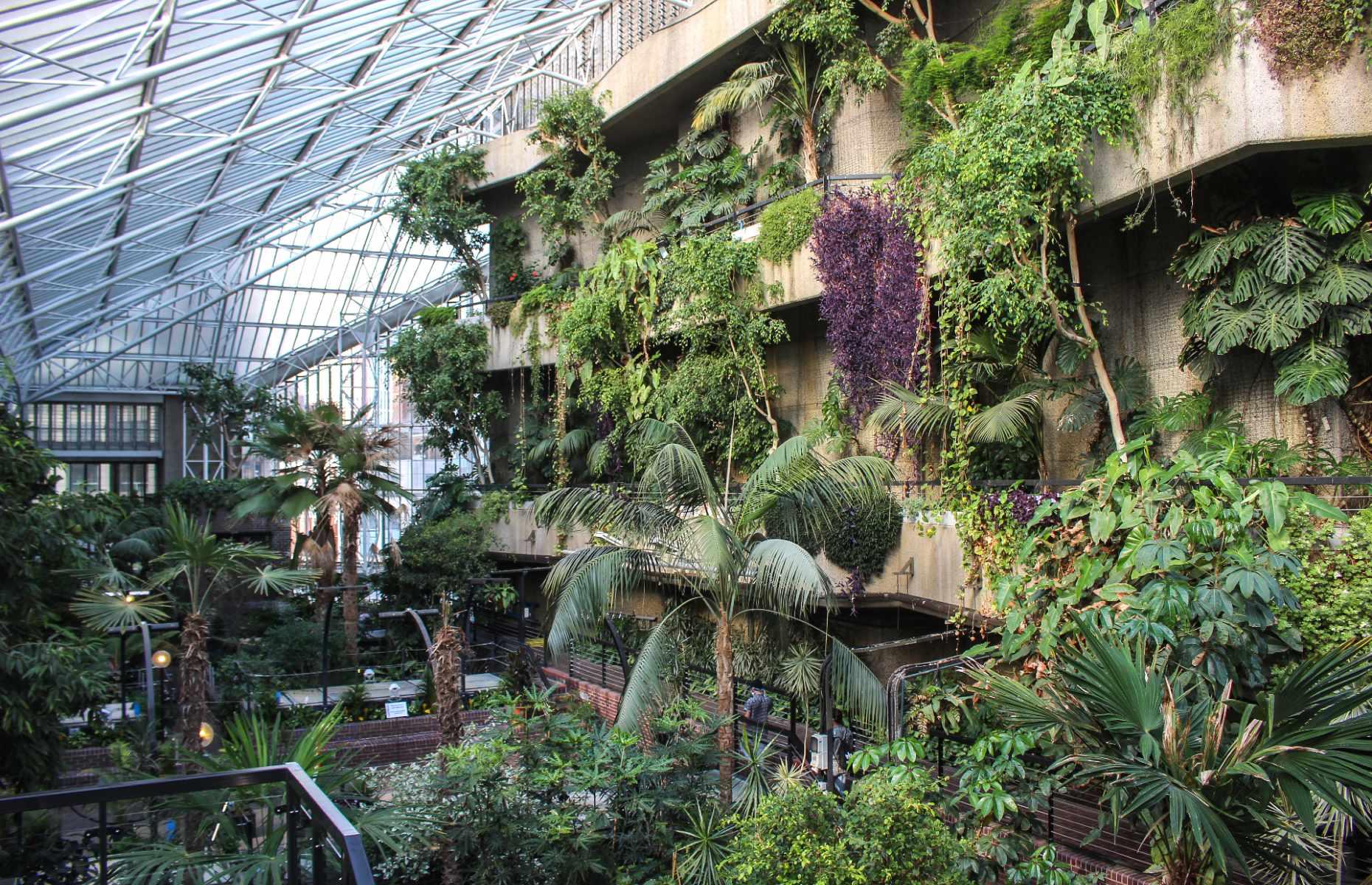 Barbican Conservatory, London, England, UK