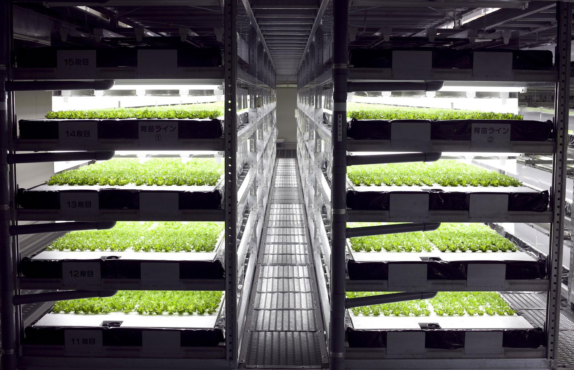 Agriculteur/agricultrice