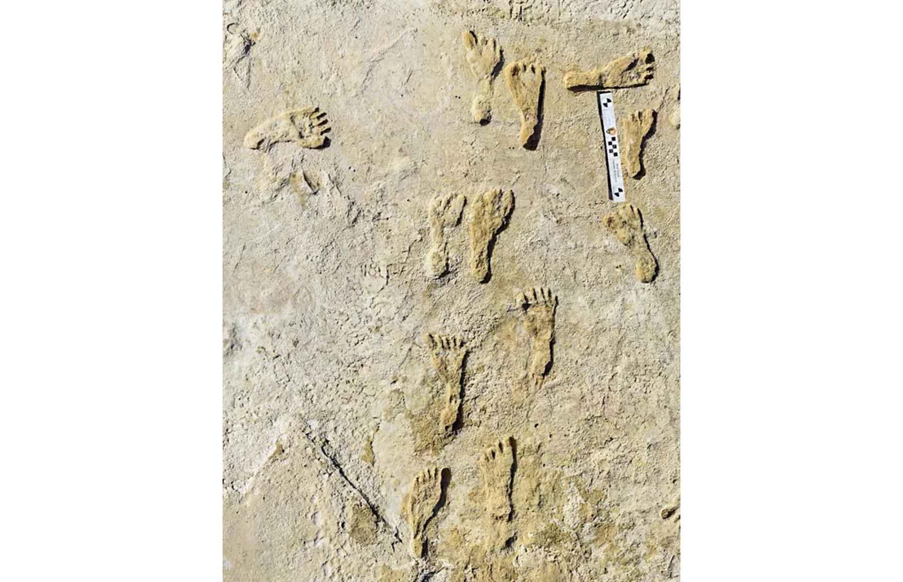 Fossilised footprints, White Sands National Park, New Mexico
