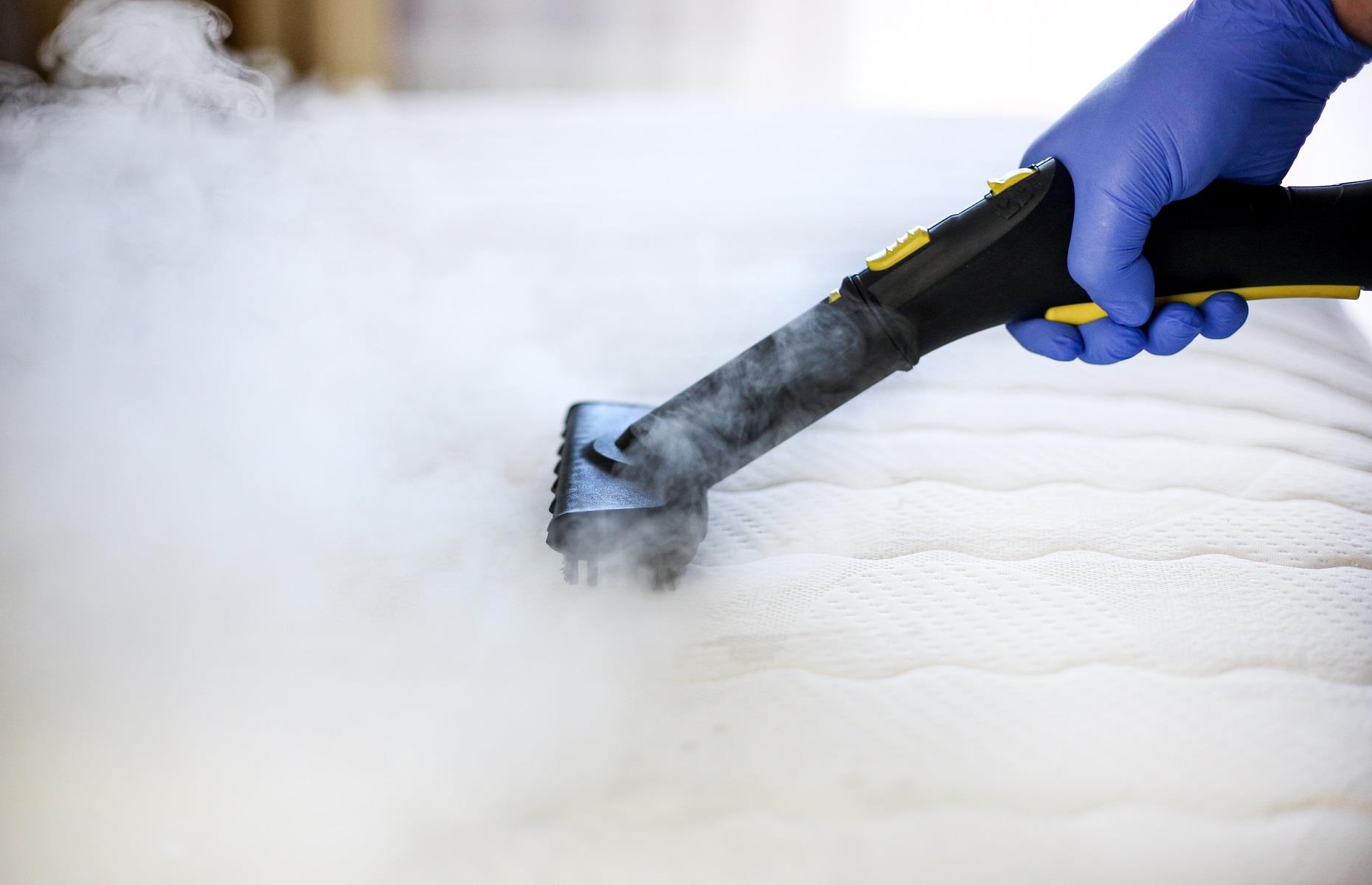 Bedbugs: treatment