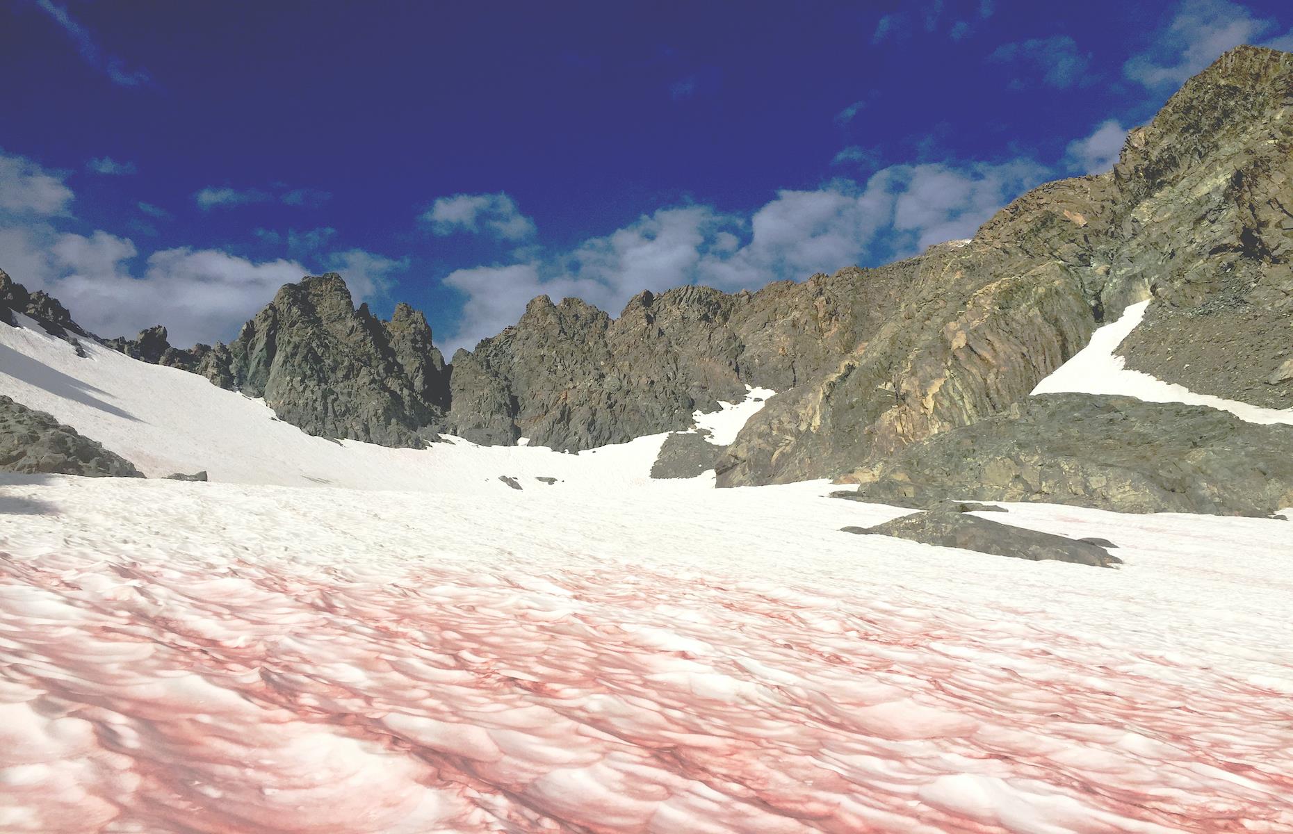 It also has pink snow 