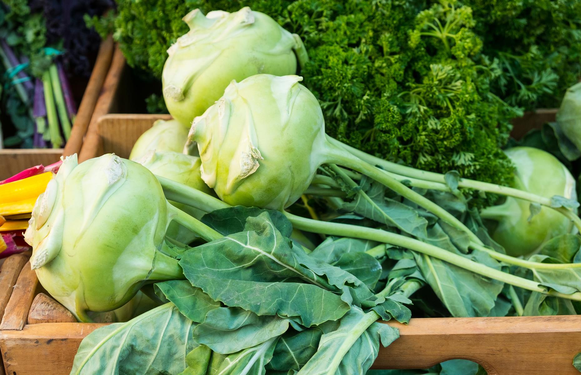 Kohlrabi