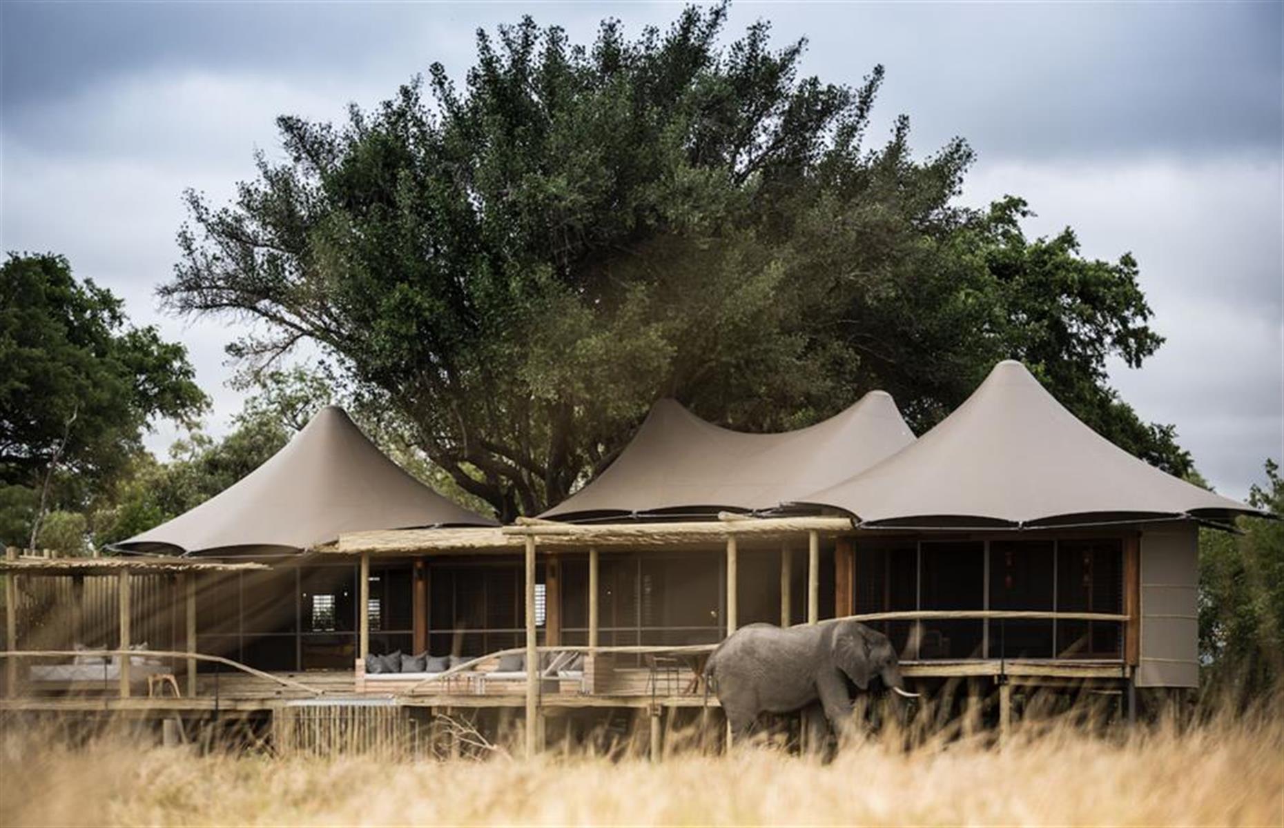 Africa: Little Mombo, Okavango Delta, Botswana