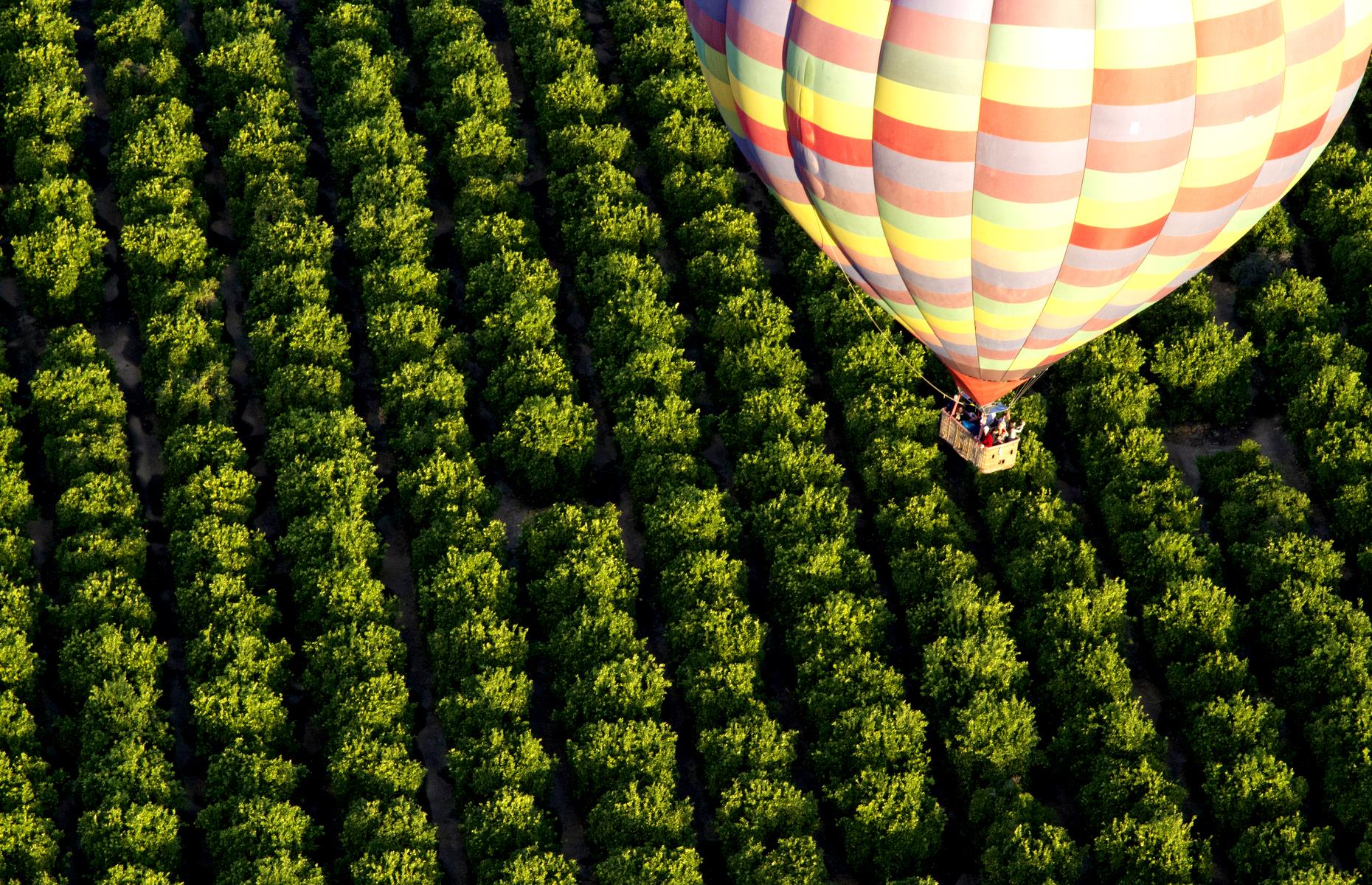 Temecula, California