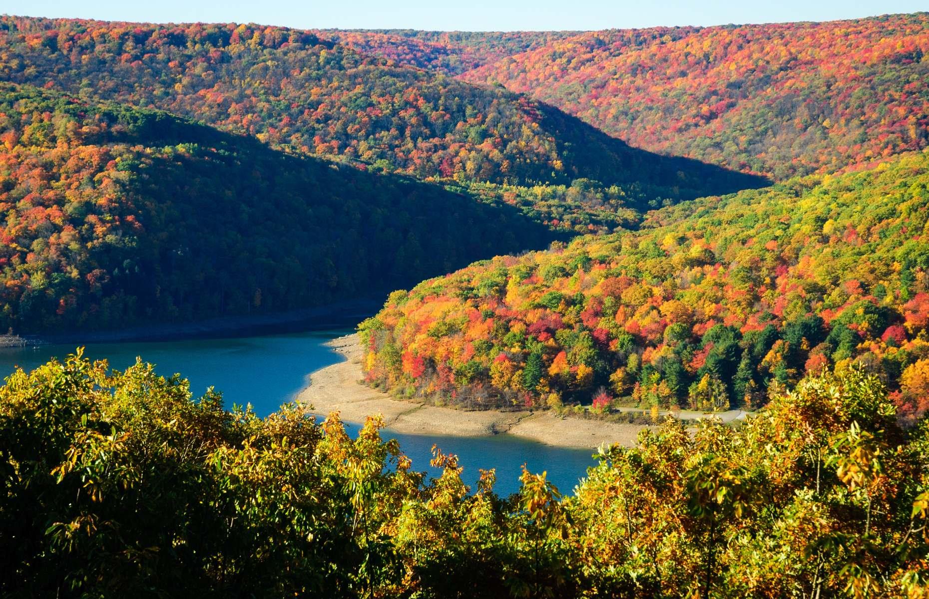 7. Allegheny National Forest, Pennsylvania 