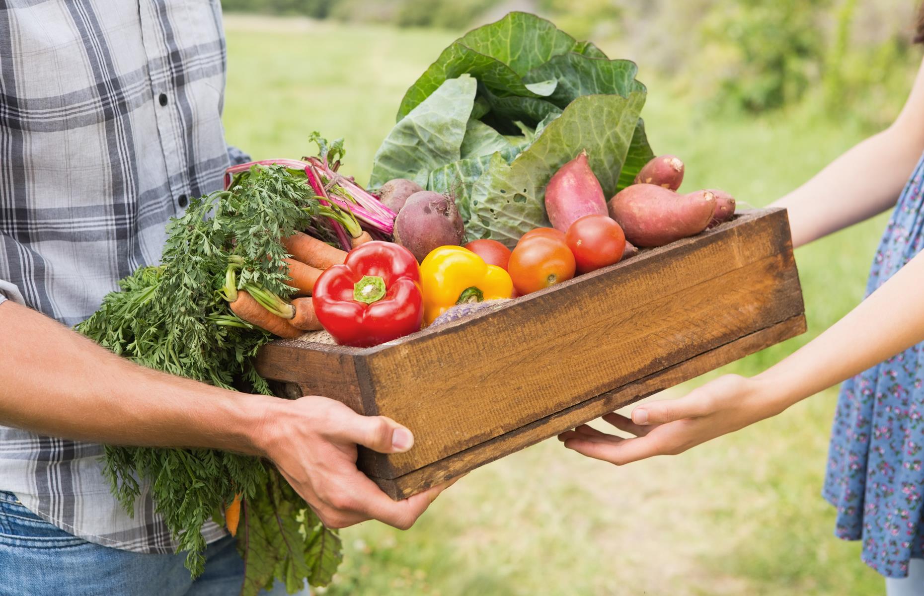 Locally grown vegetables