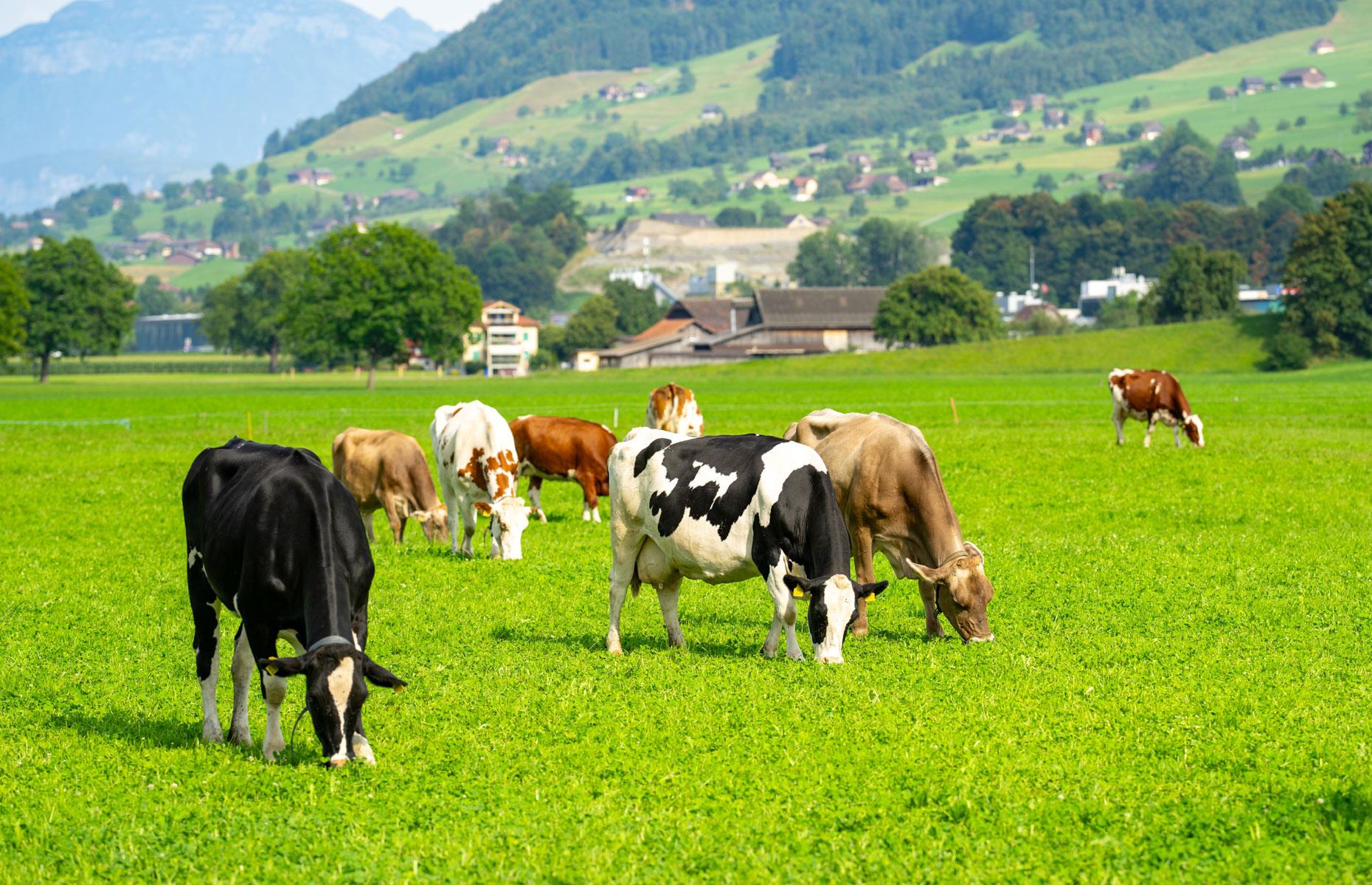 Switzerland: $1.98 (£1.56)