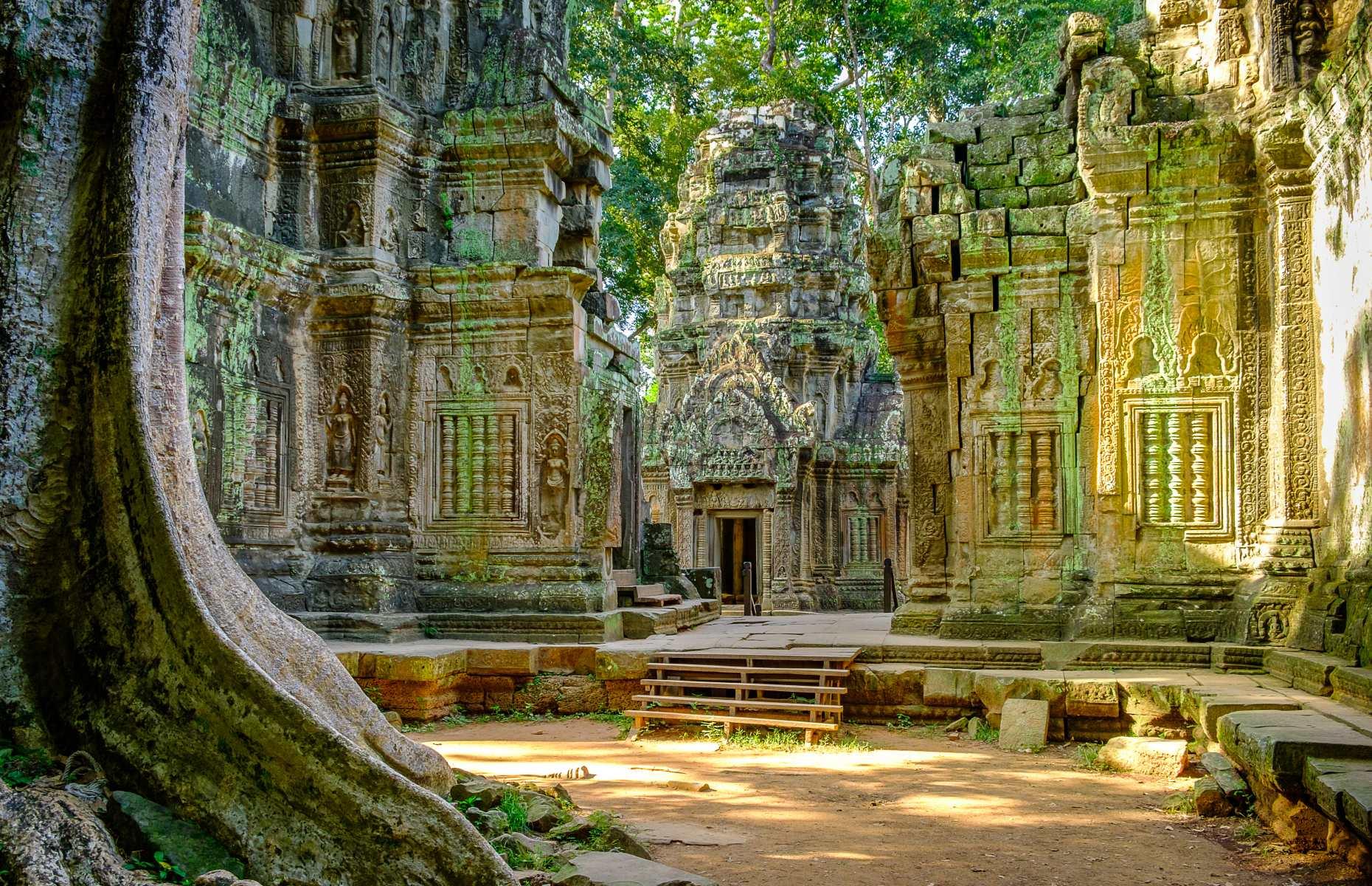 Ta Prohm, Angkor, Siem Reap, Cambodia