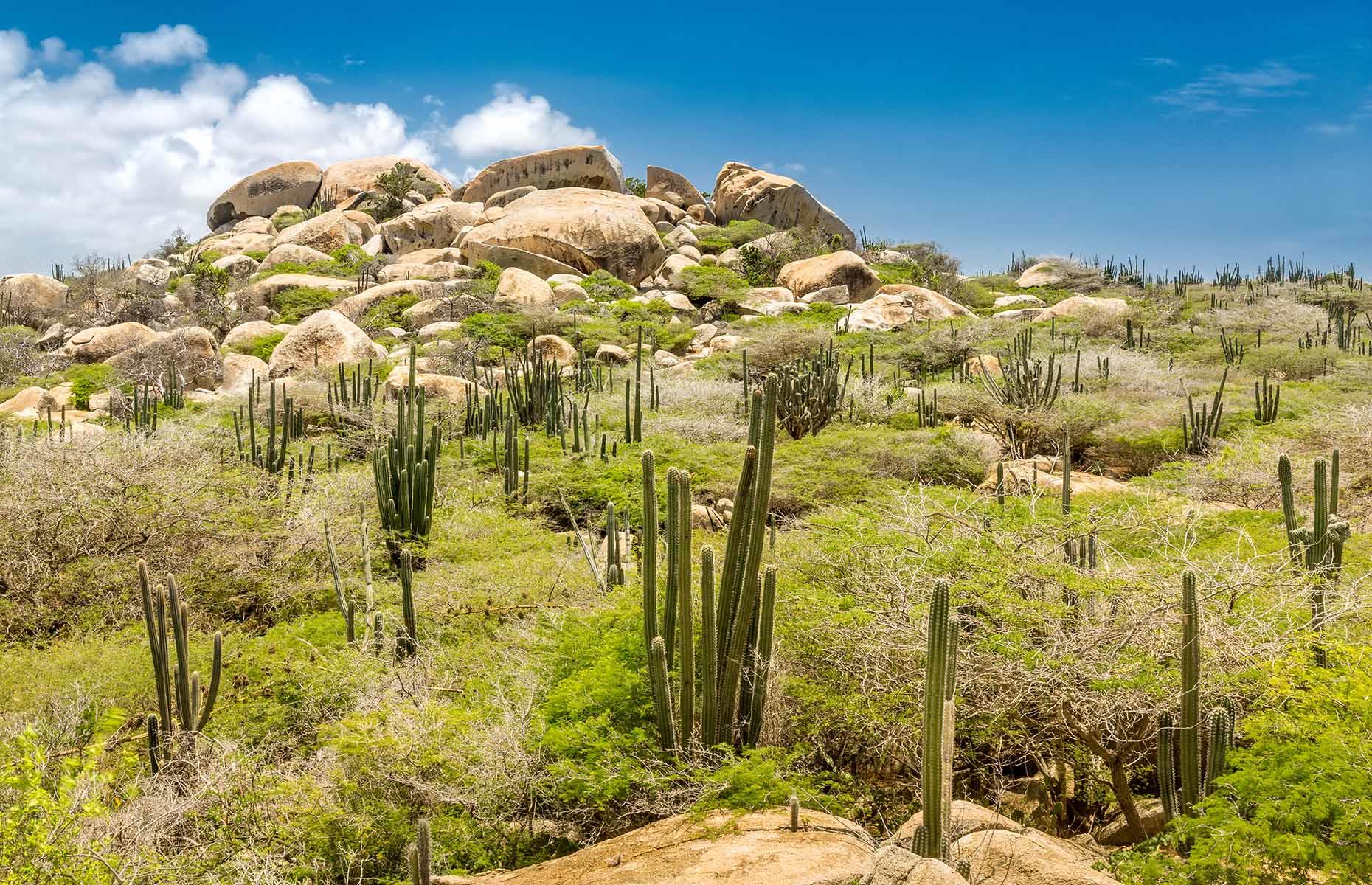 15. Aruba
