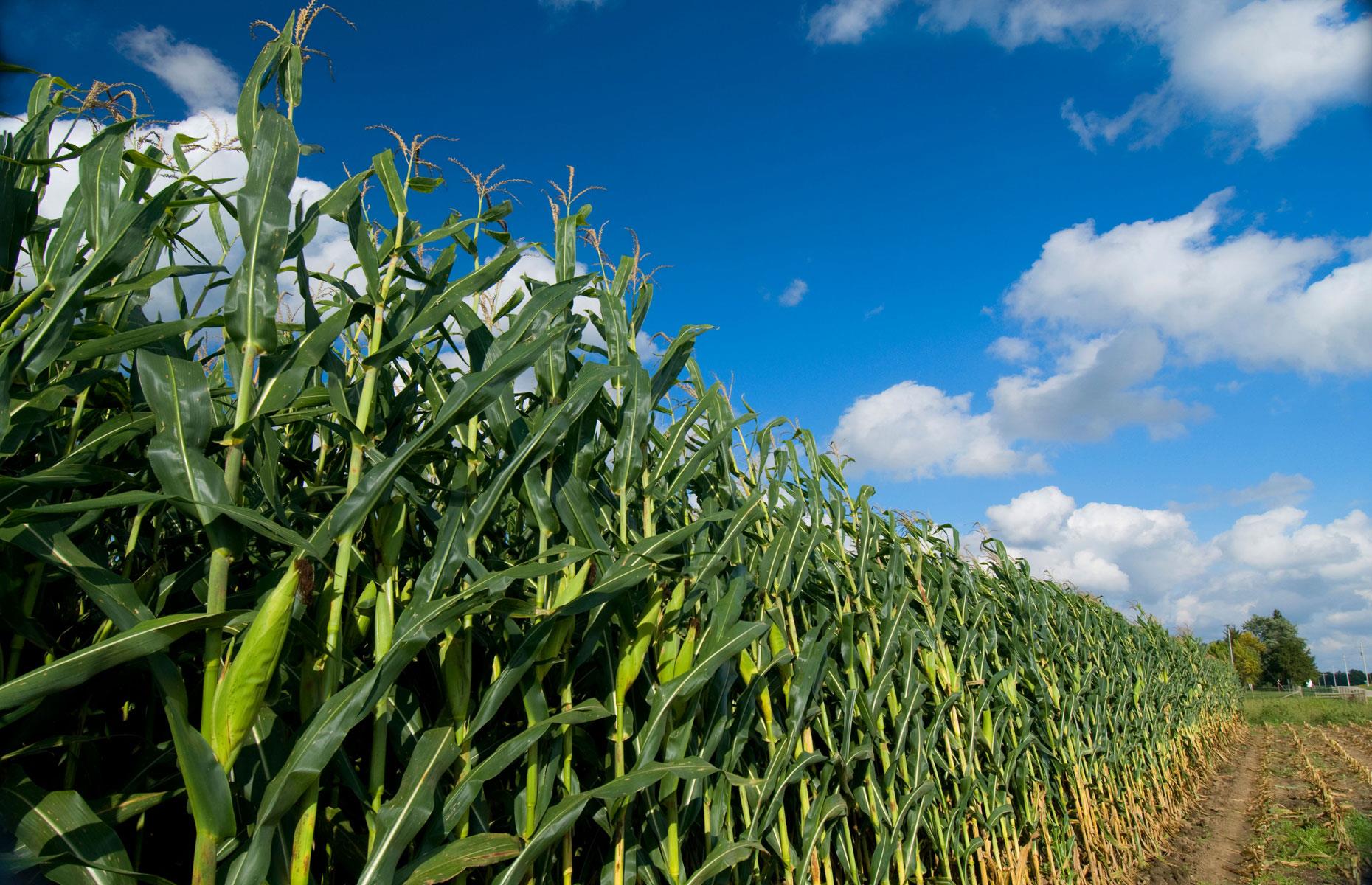 8. Indiana: $16.6 billion
