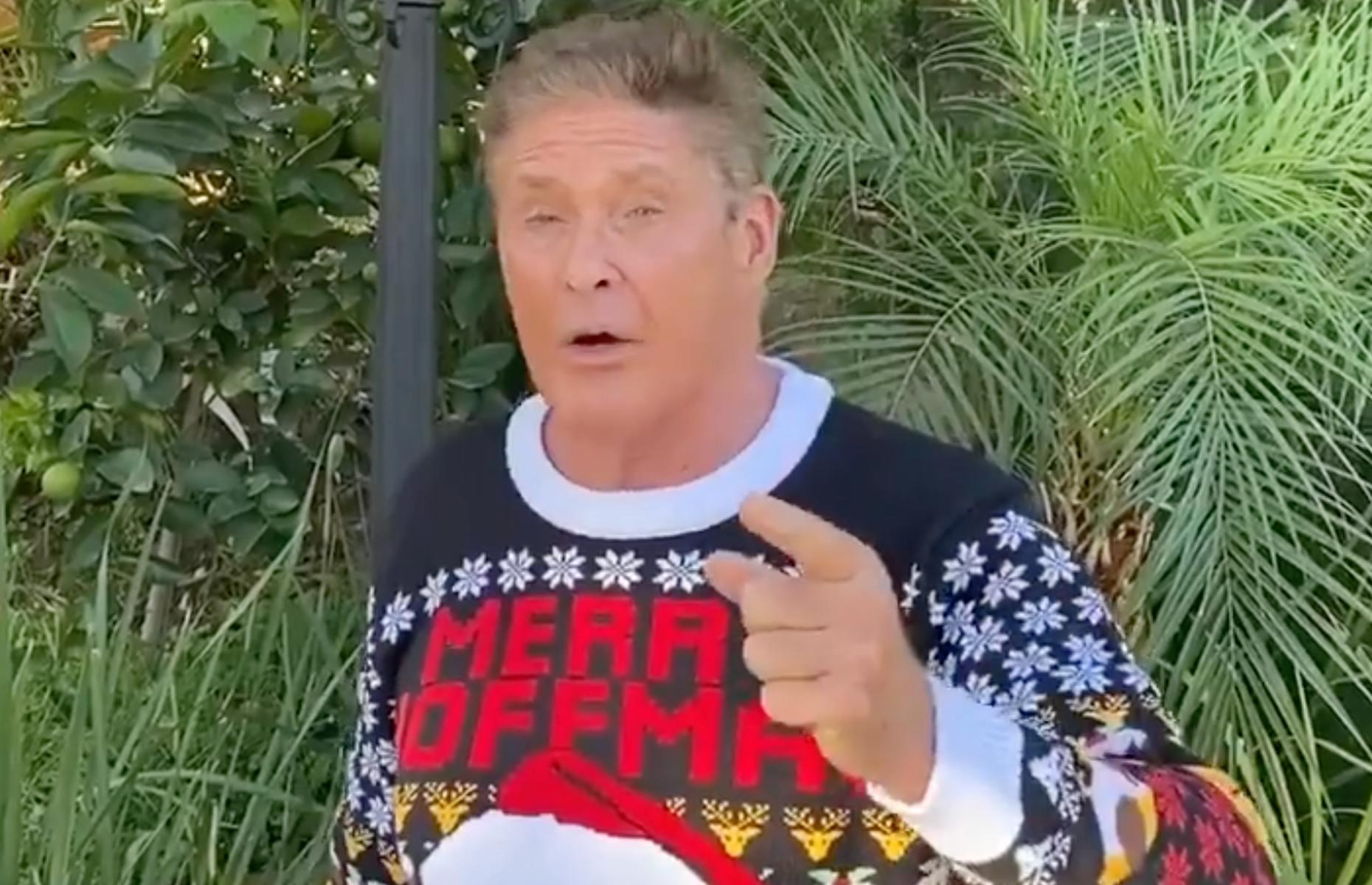 David Hasselhoff