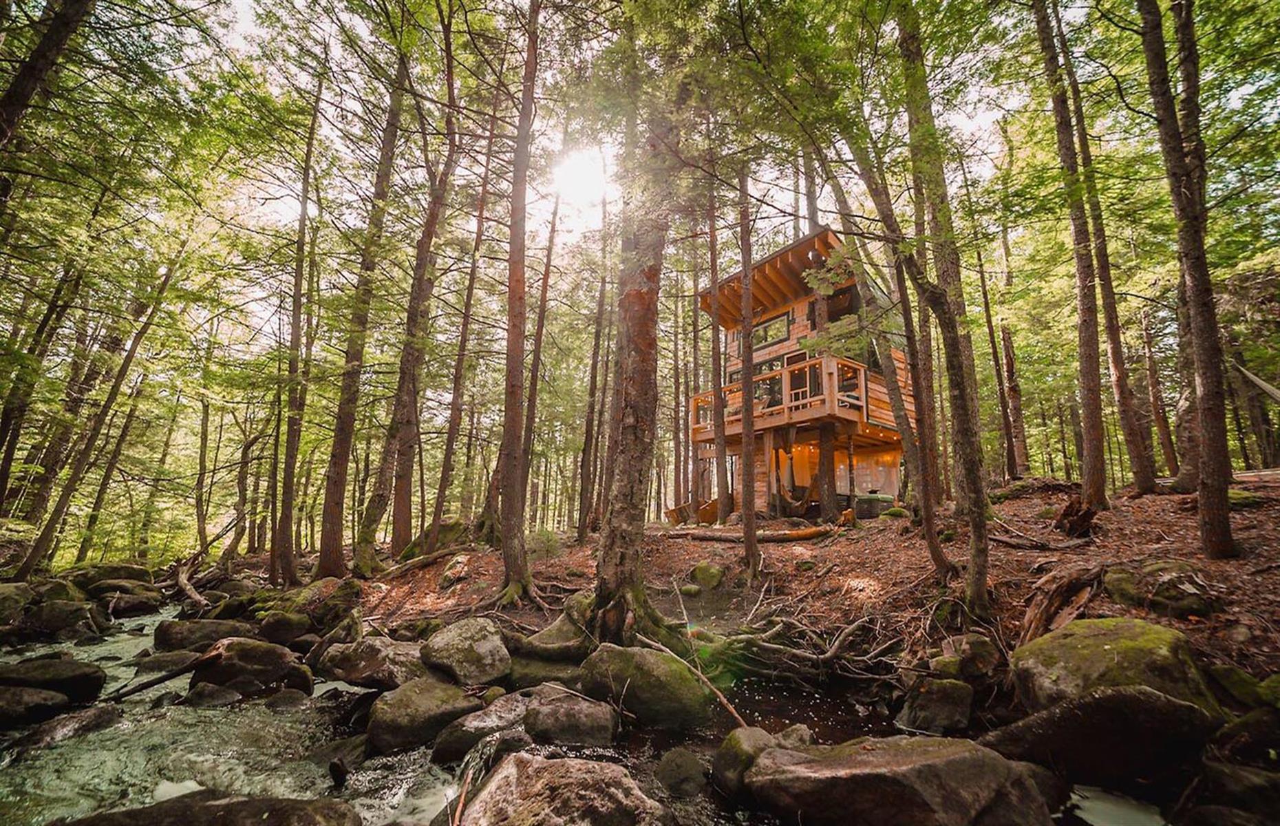 Treehouse in the woods, Hardwick, Vermont