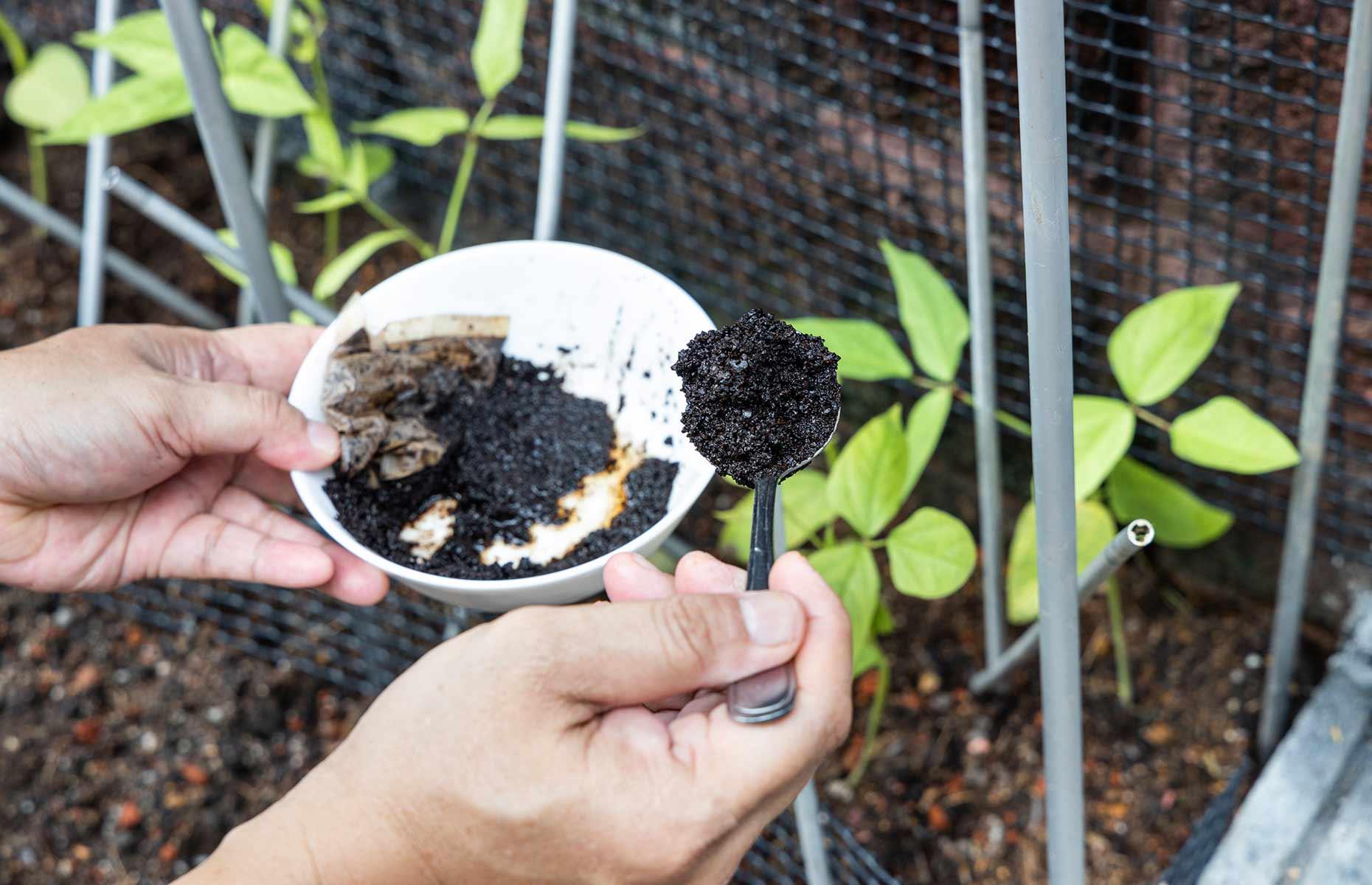 Invigorate your vegetable patch