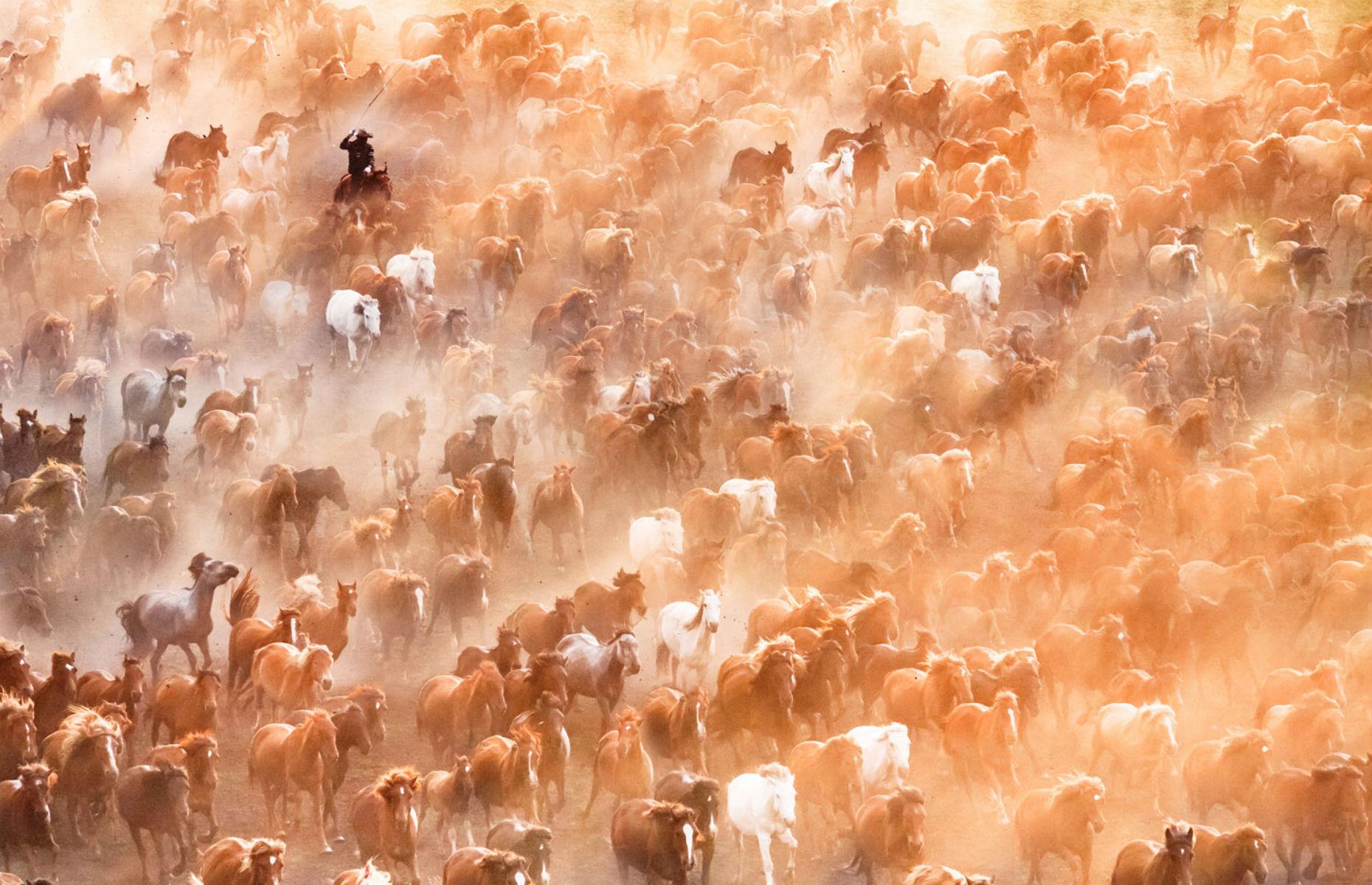 Inner Mongolia