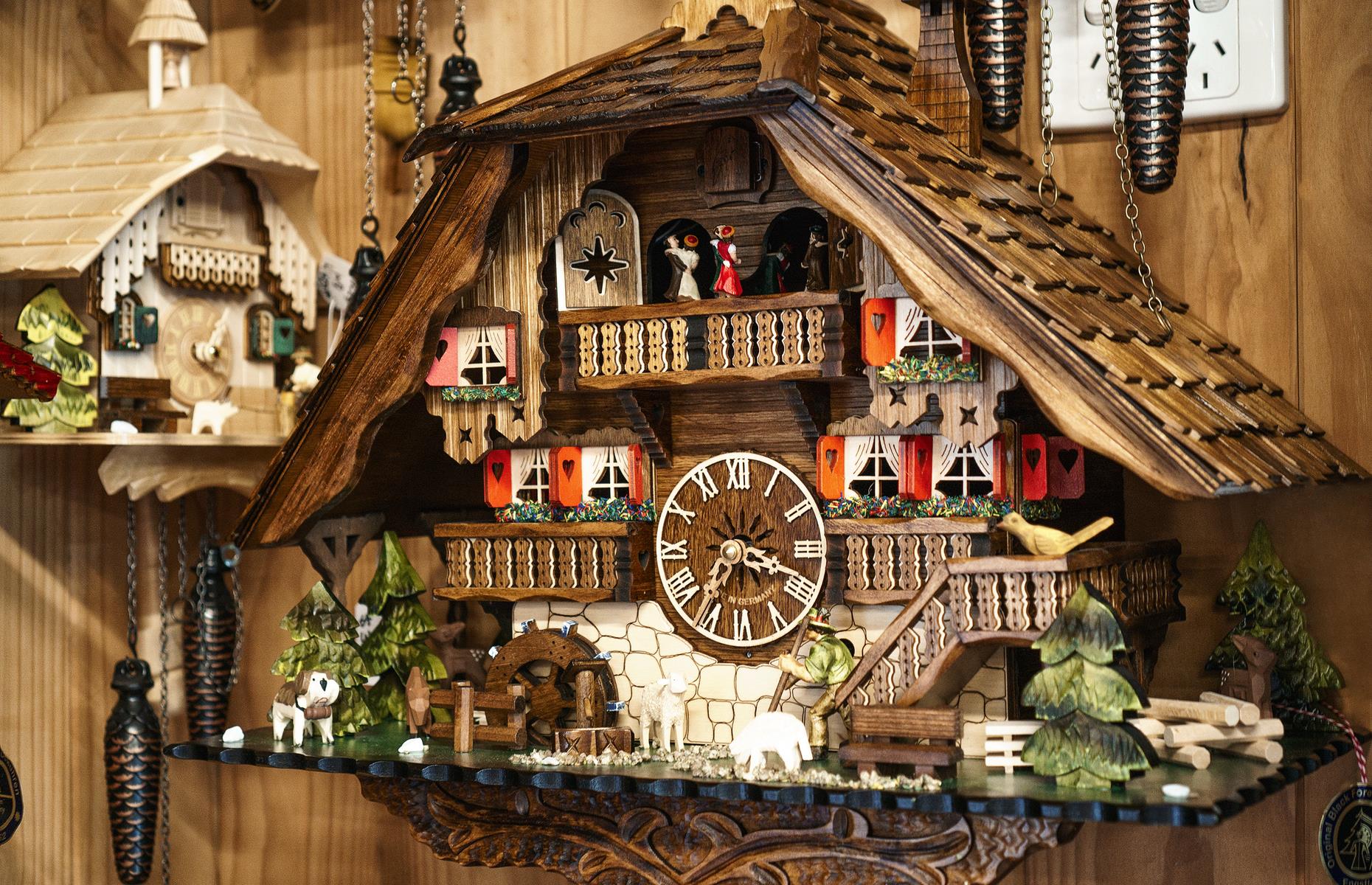 German Cuckoo Clock Nest, Queensland