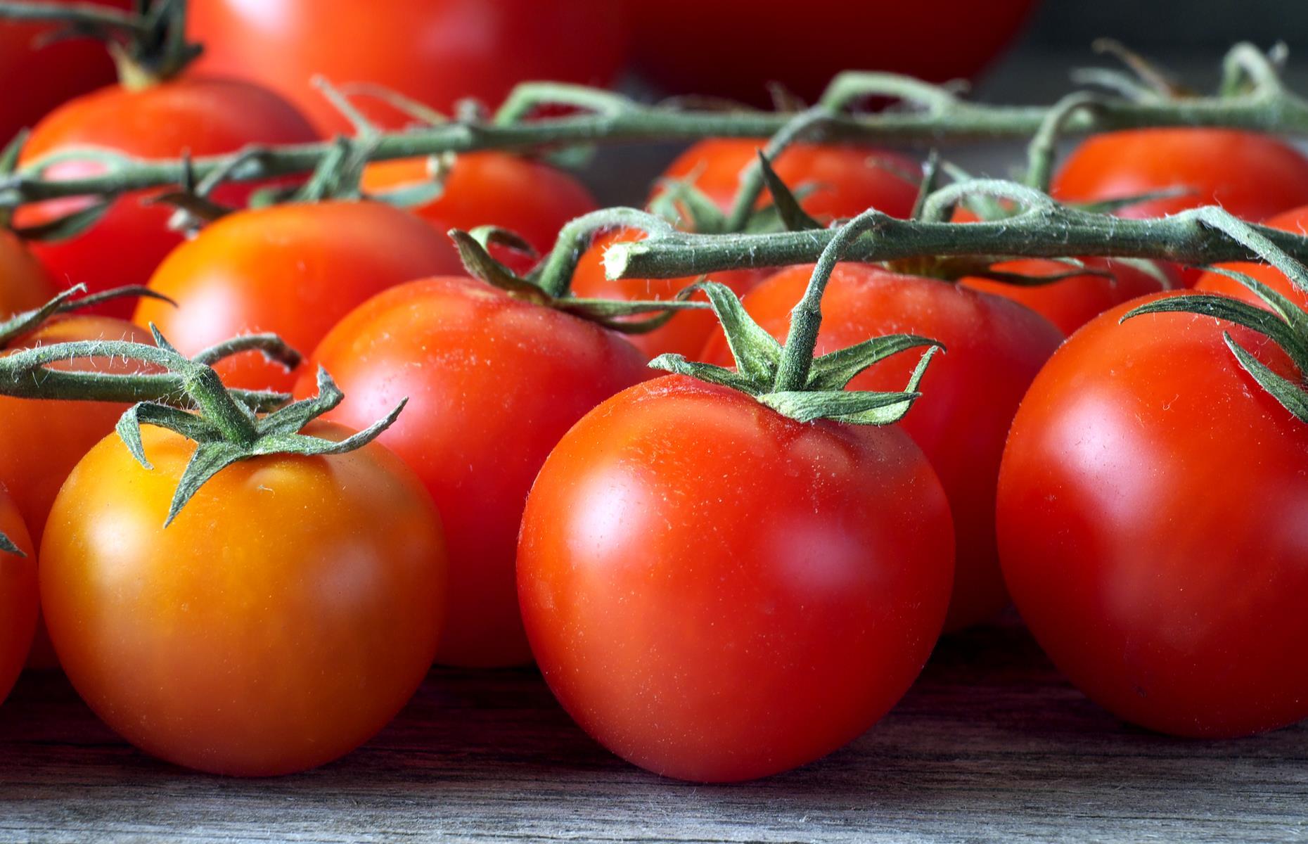 Tomatoes