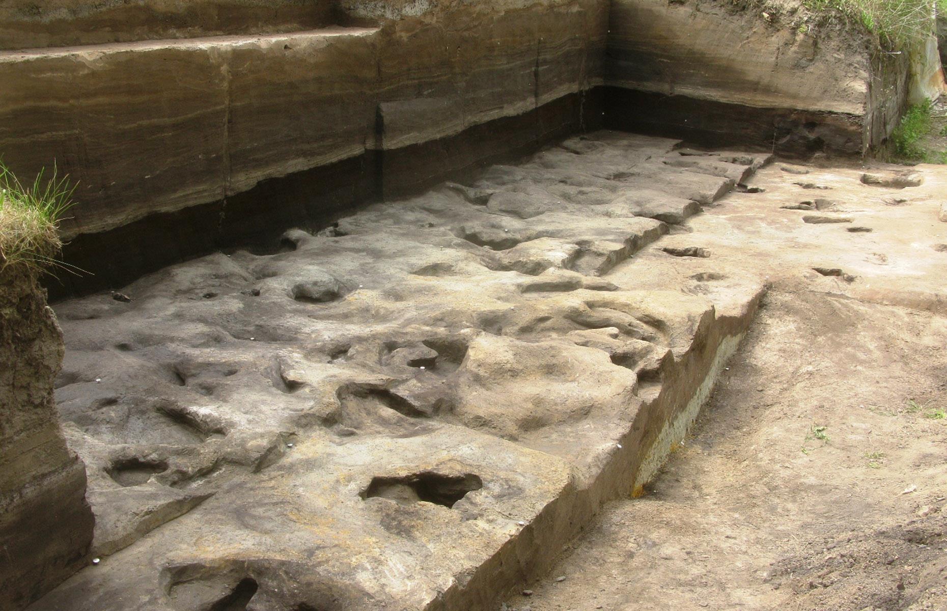 Extremely ancient human footprints, Germany
