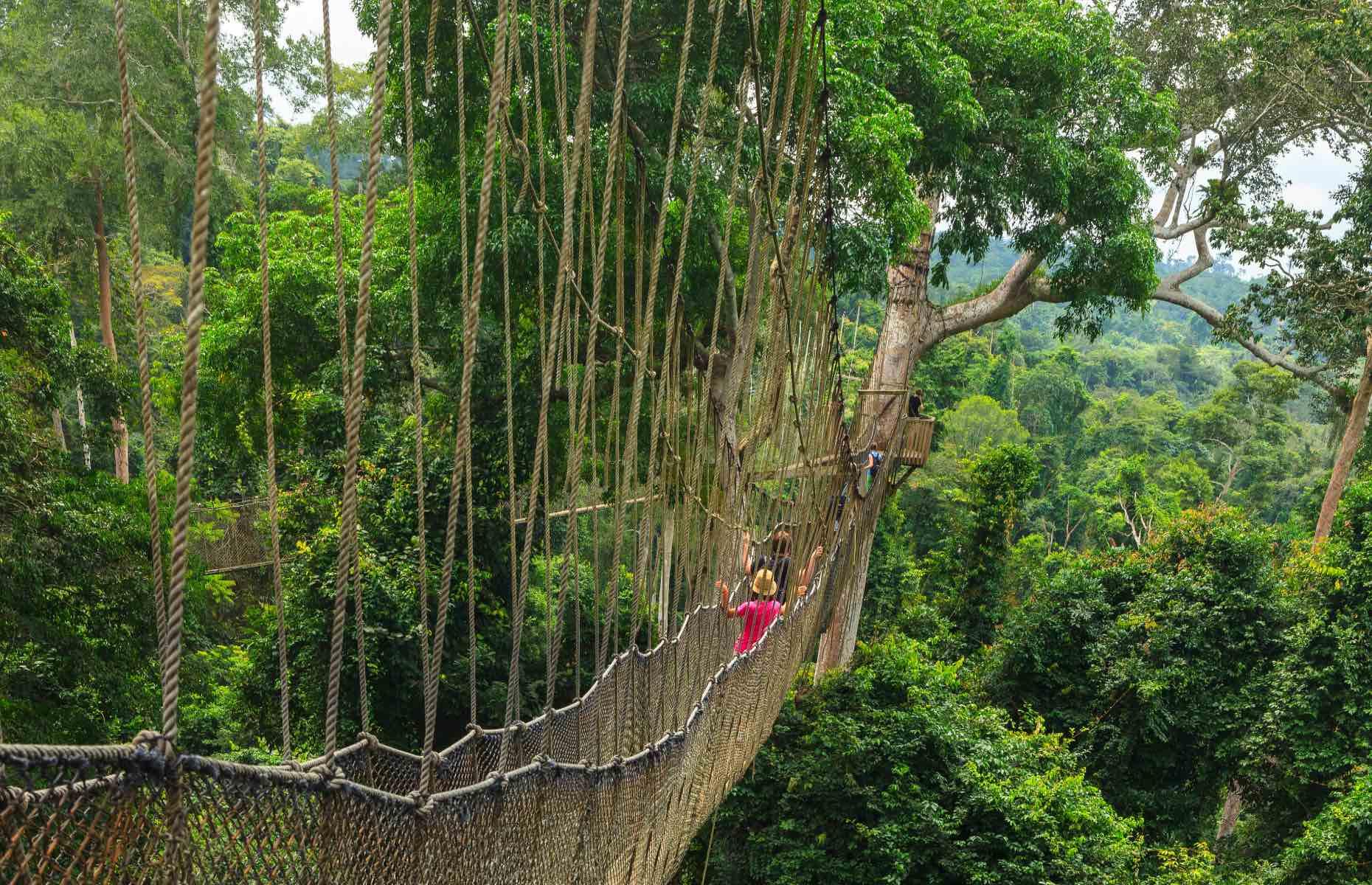 Kakum Canopy walk, Kakum National Park, Ghana