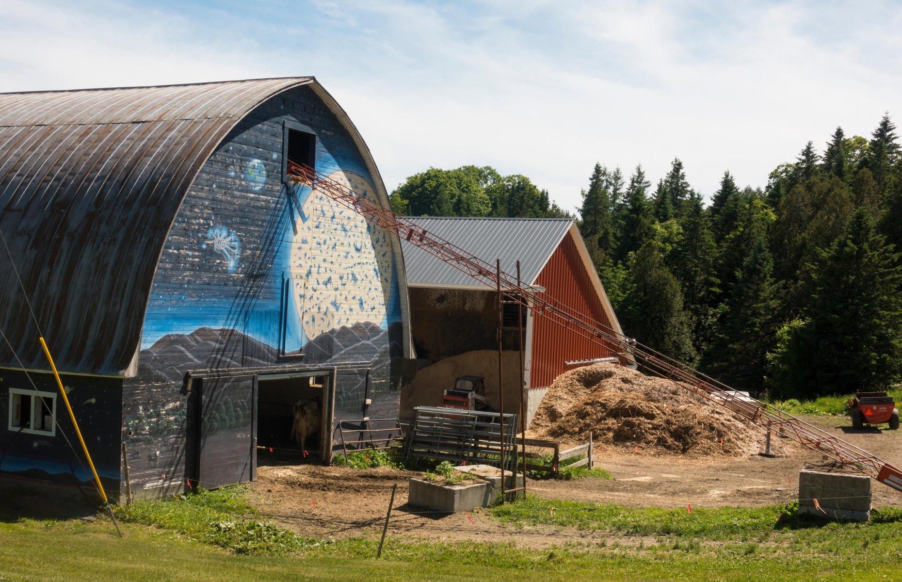 Greensboro, Orleans County
