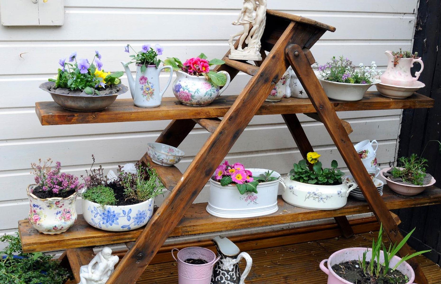 Ladder garden