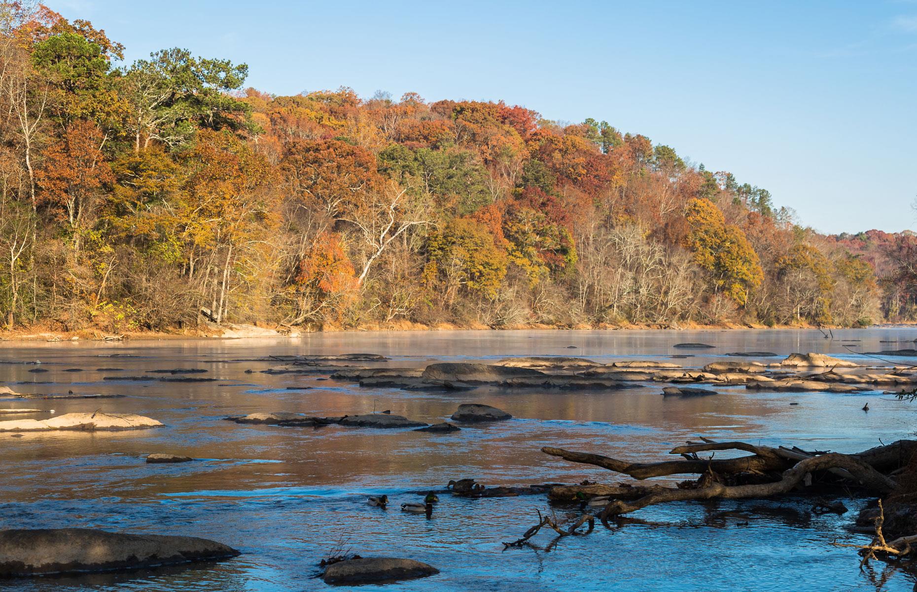 The Georgia Gold Rush