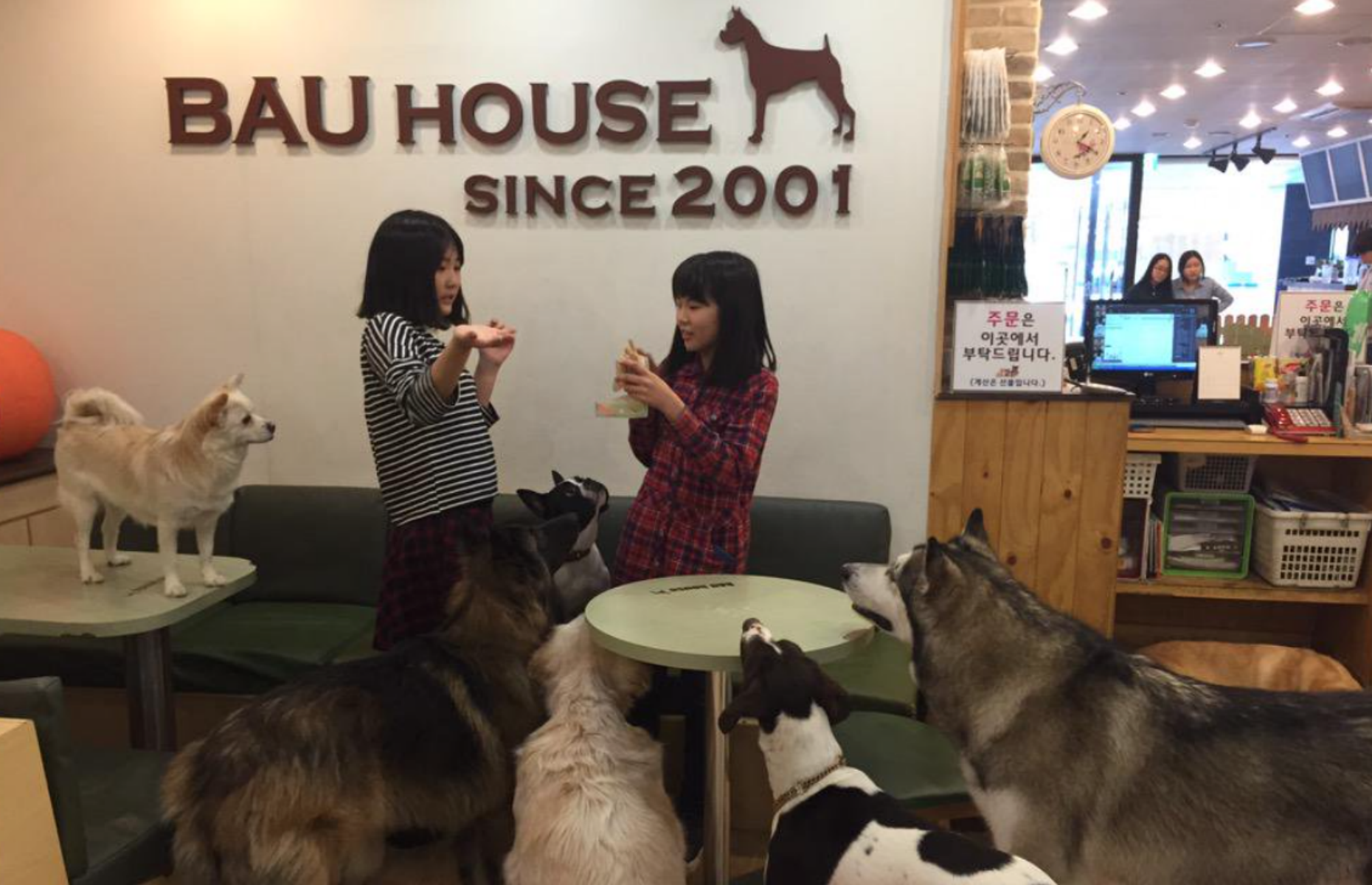 Bau House, Seoul, South Korea