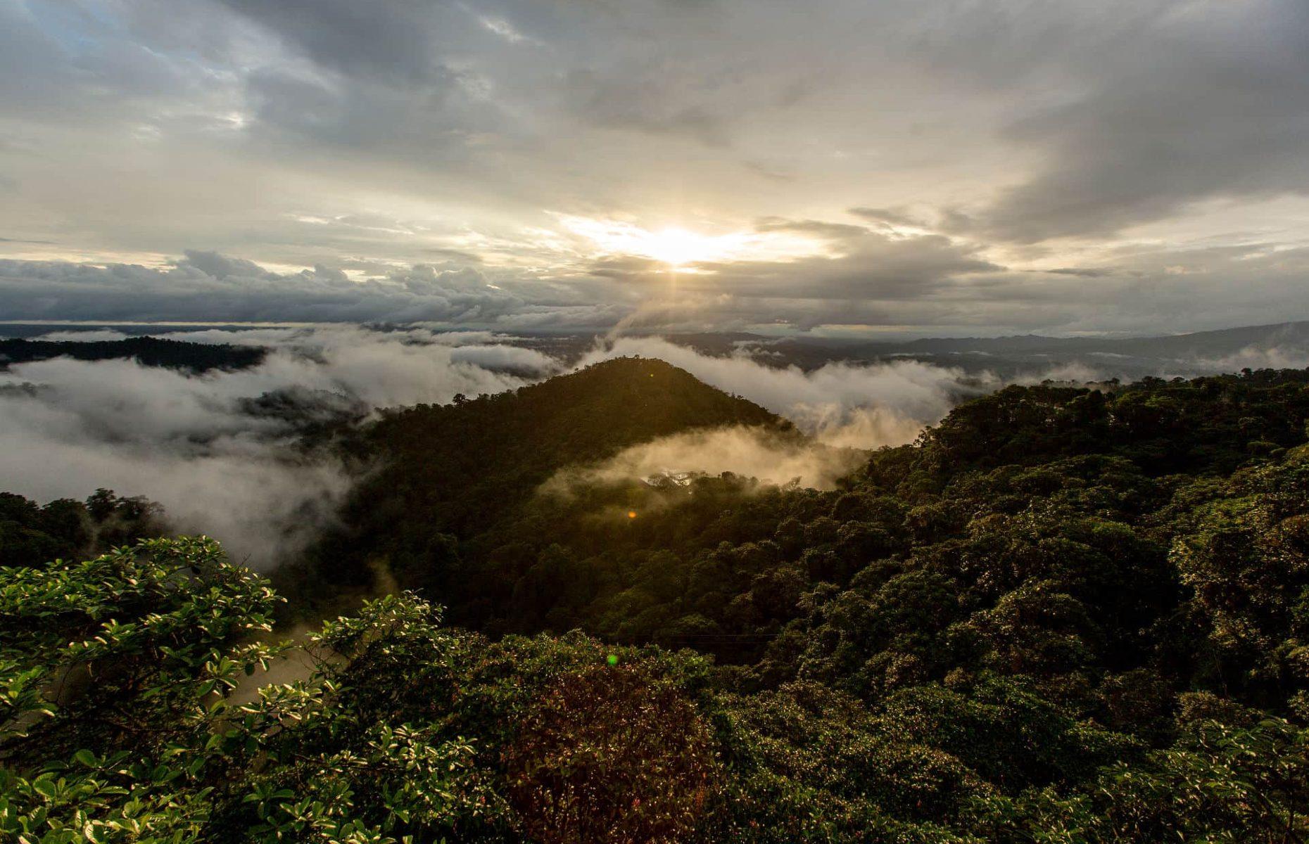 Mashpi Lodge, Mashpi, Ecuador