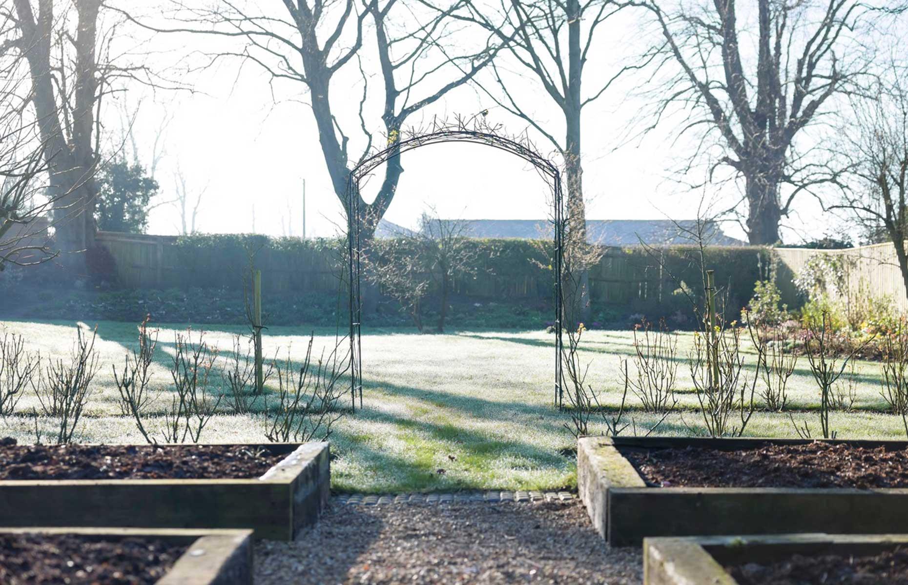 Ignoring your garden during winter