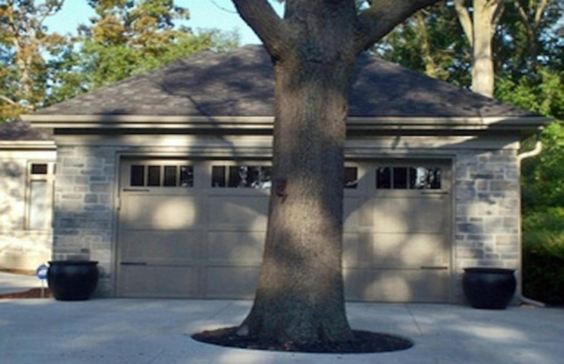 Putting down roots