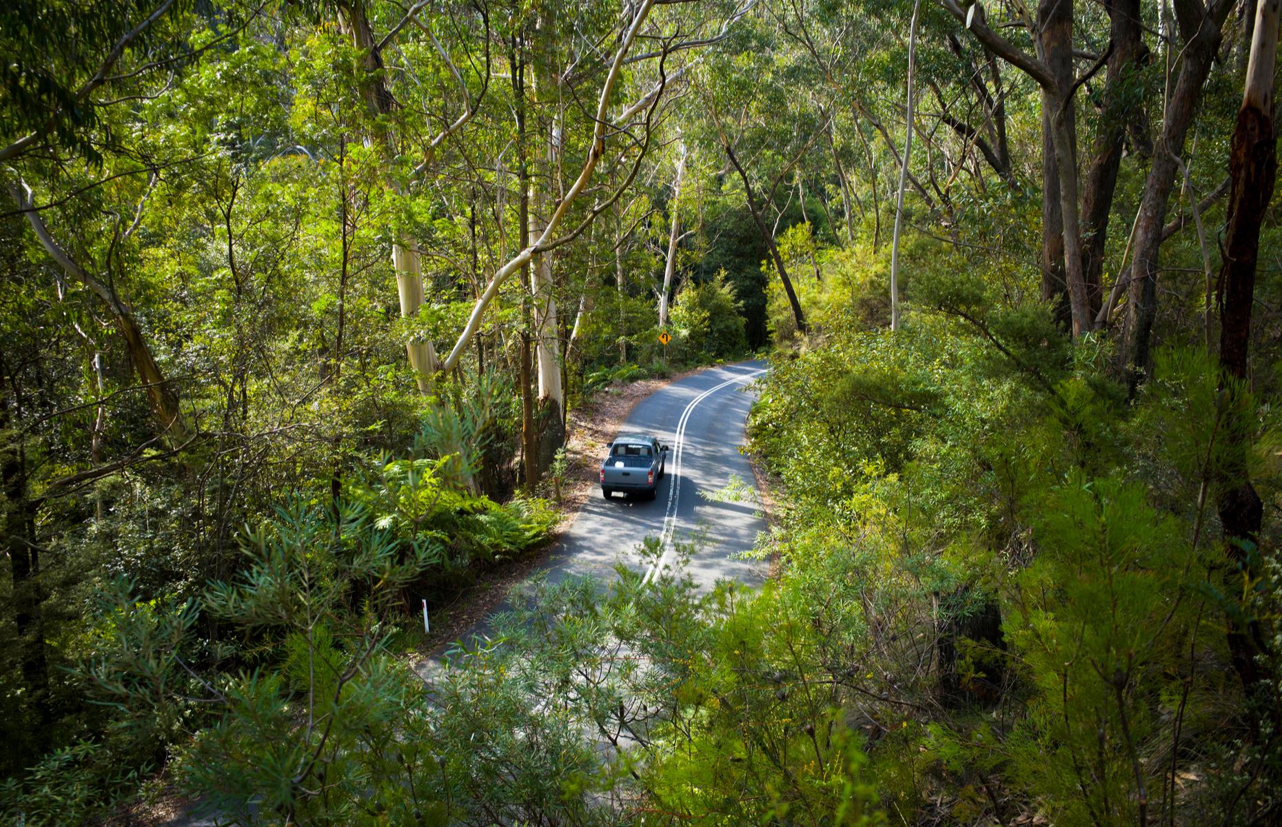 New South Wales: Sydney to the Blue Mountains 