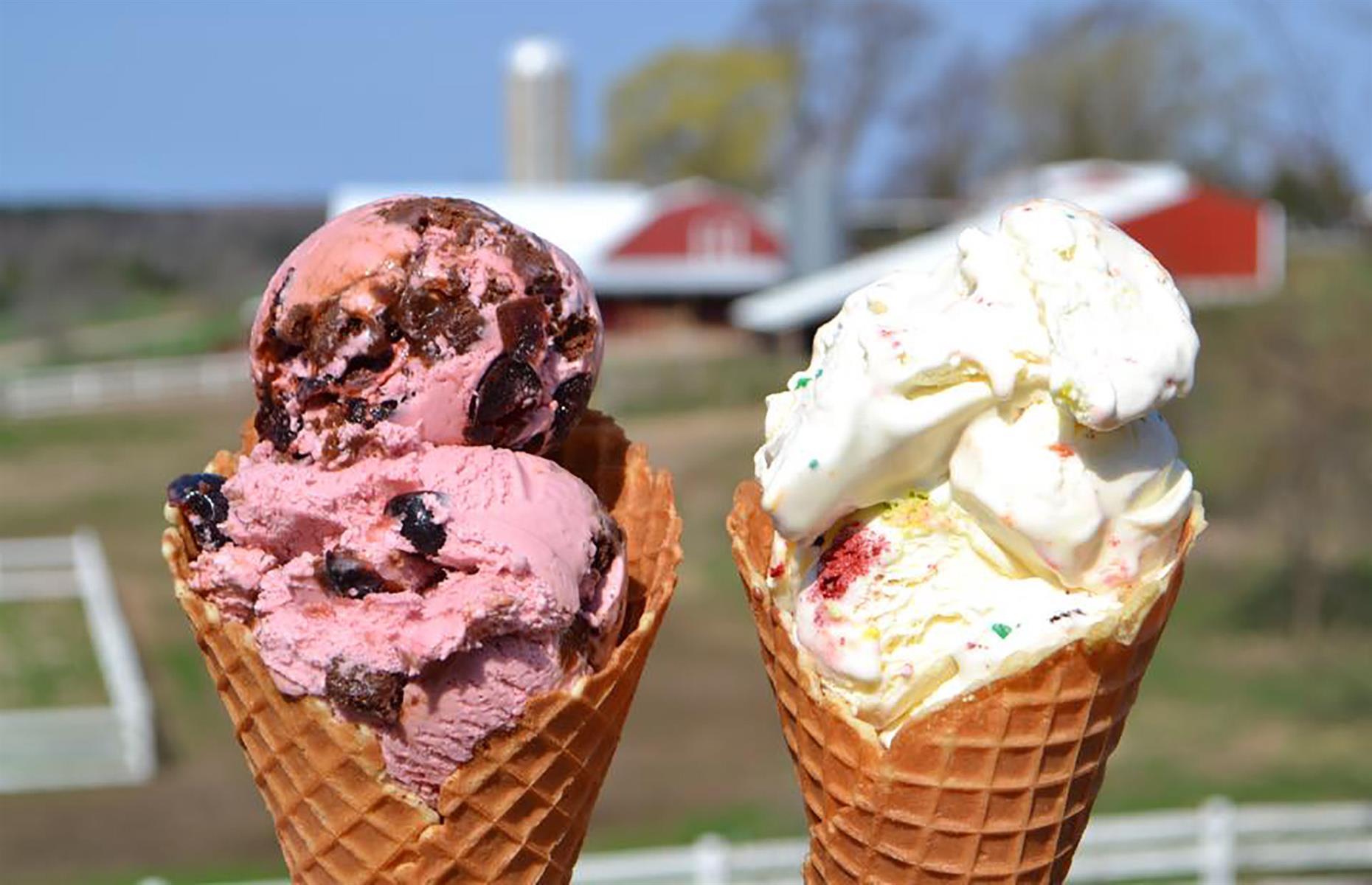 The coolest places for a frozen treat