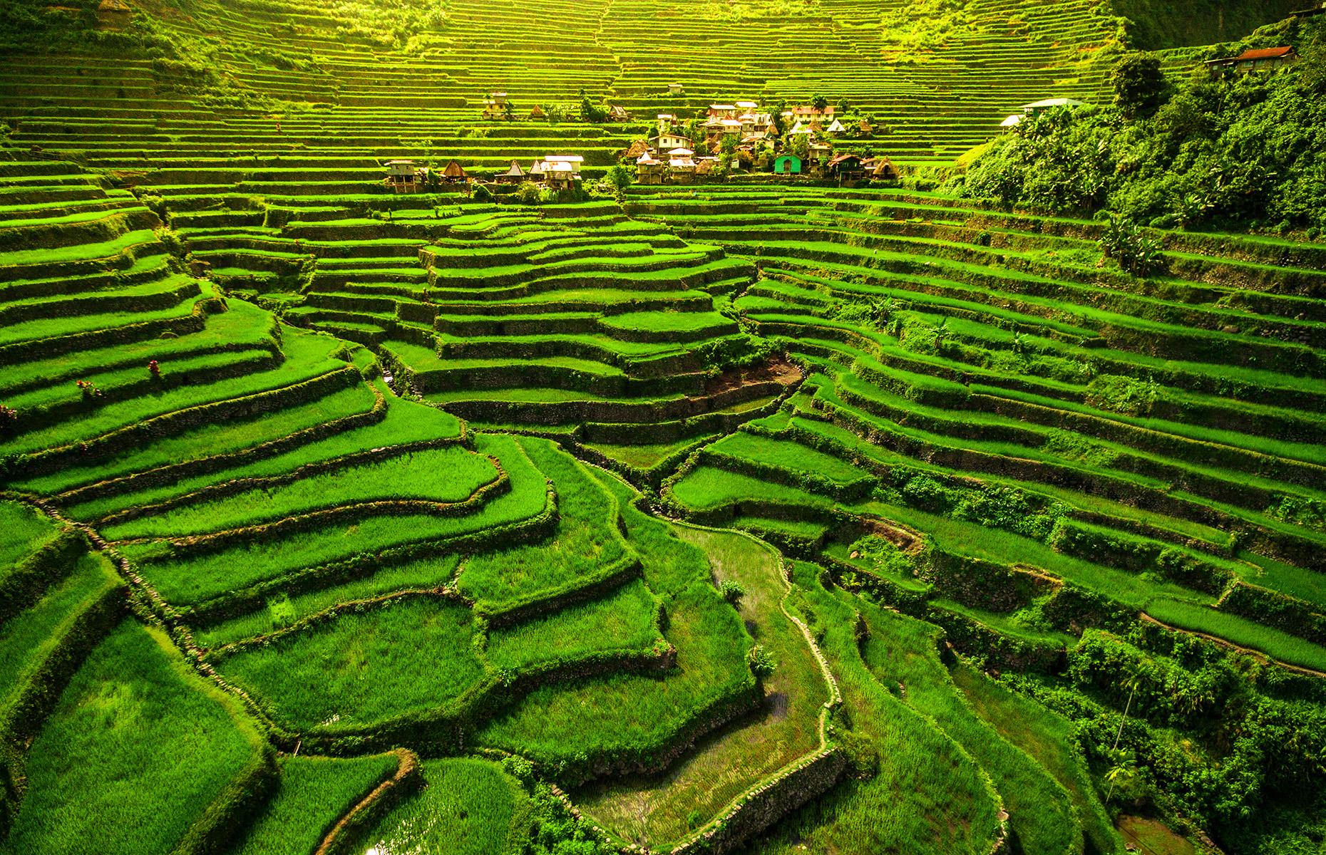 Batad and Banaue rice terraces, the Philippines