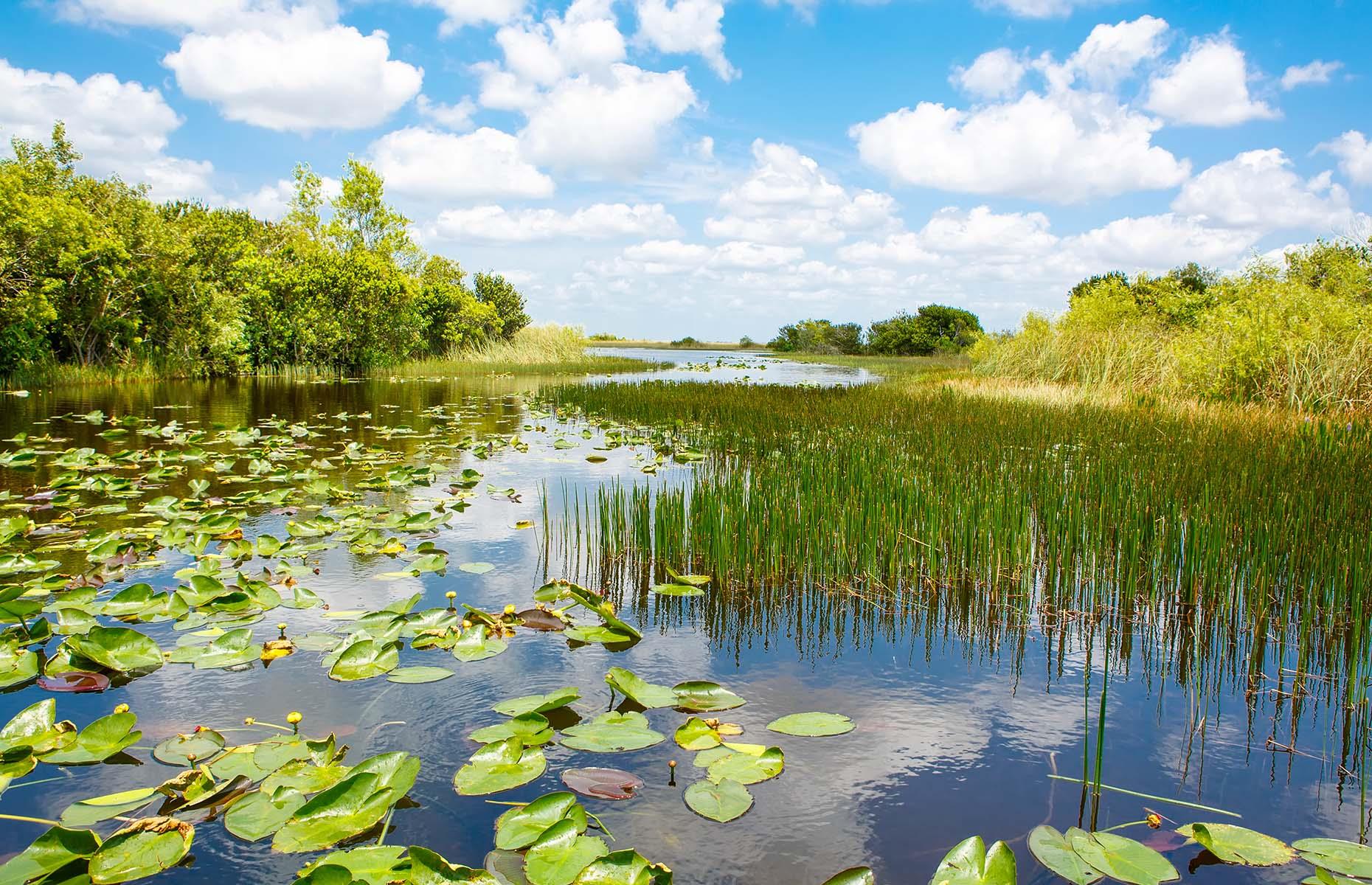 Swap the Everglades in favour of Big Cypress National Preserve when in South Florida