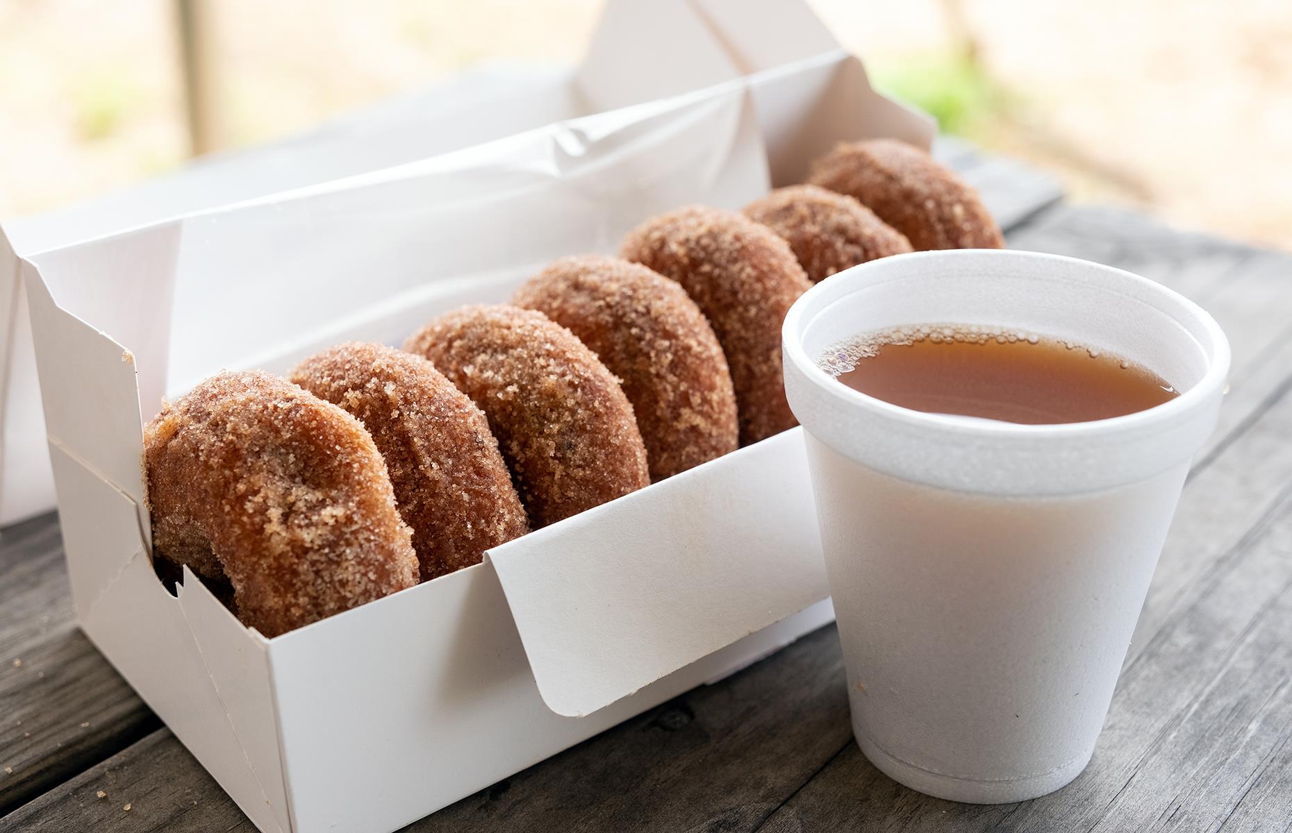 New Hampshire: feast on an apple cider donut 
