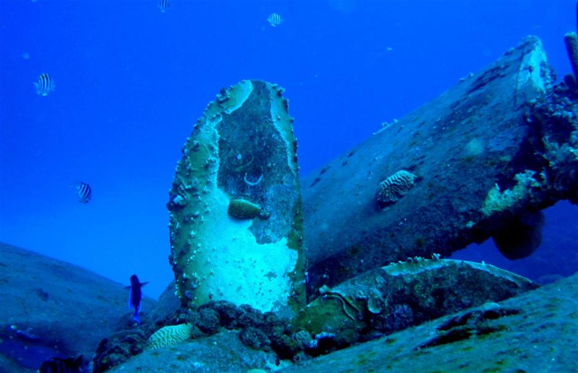 Hilma Hooker, Bonaire, Caribbean