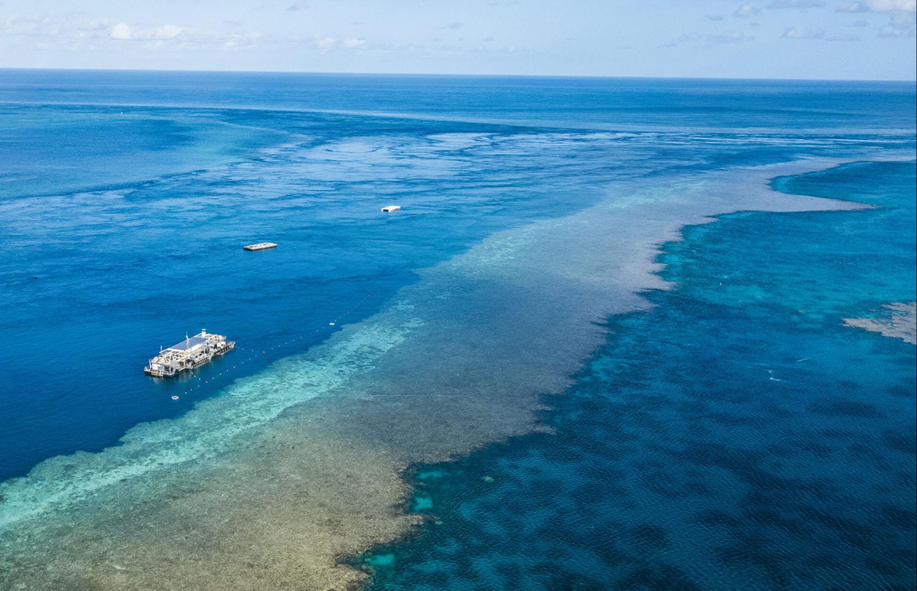 Reefsuites, Grande Barrière de corail, Australie