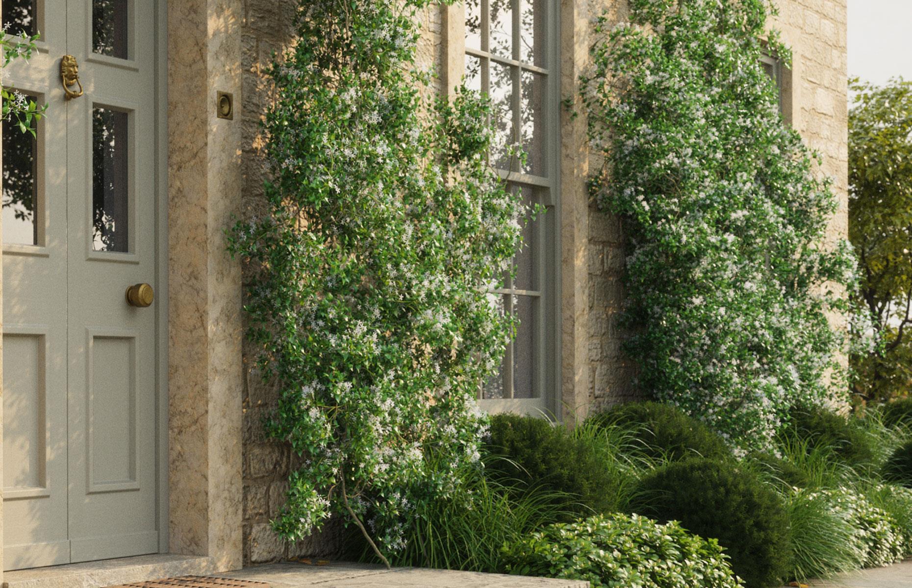 Complement with foliage