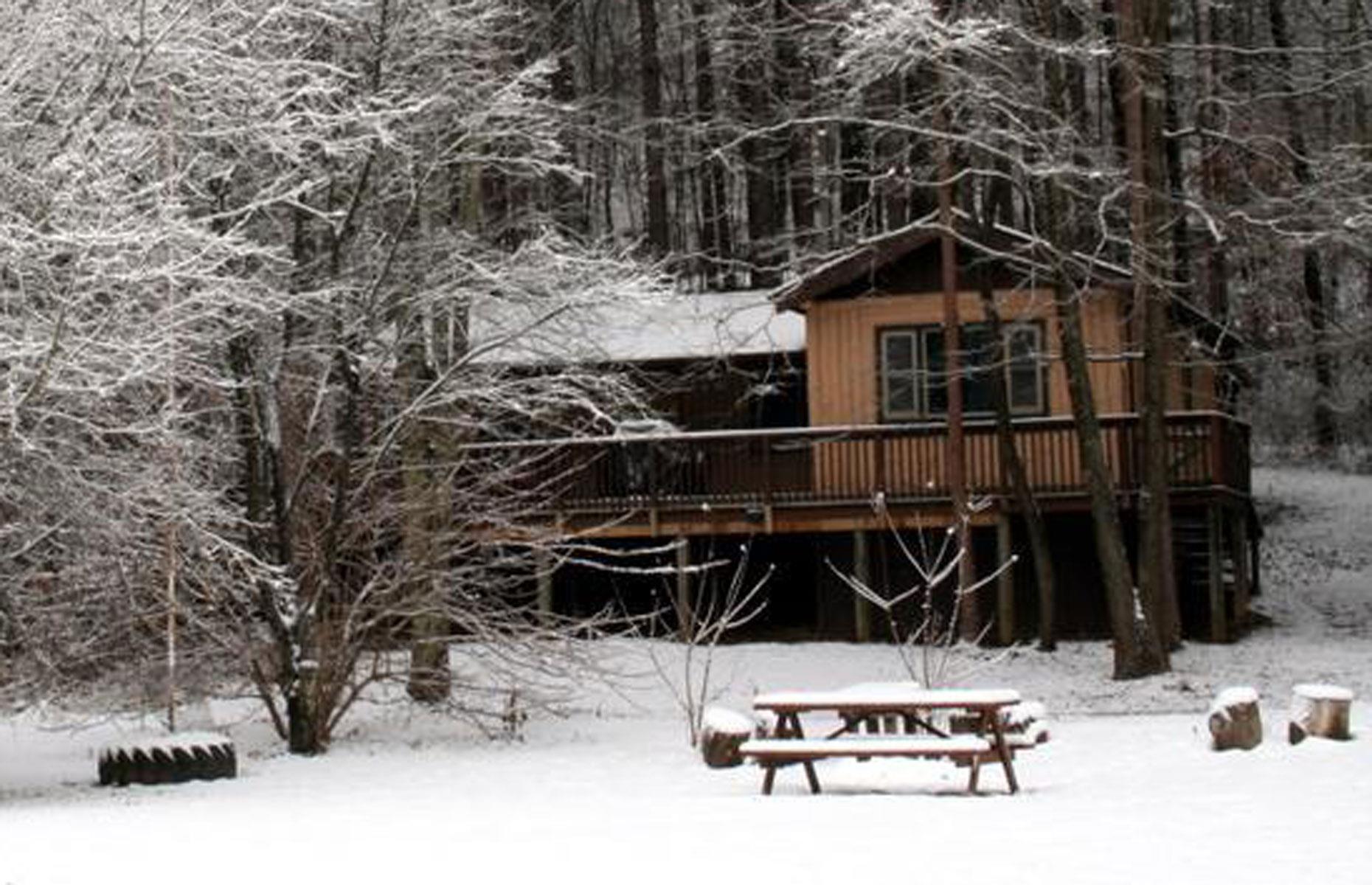 4. Mid-range: Marsh Hollow Pinewood Cabin, Laurelville, Ohio, USA