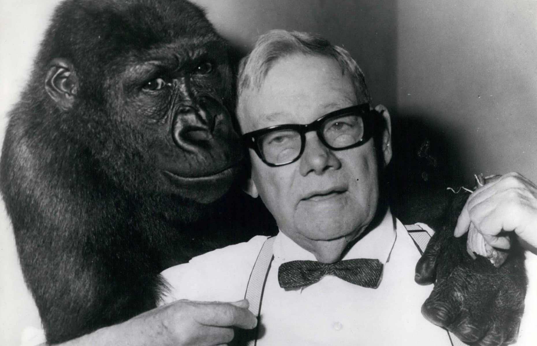 Hallstrom Close: the legacy of a famous inventor