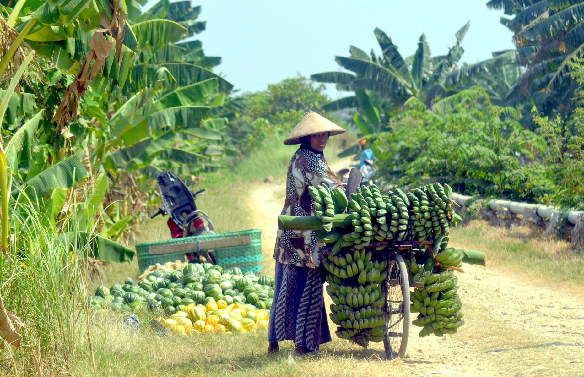 Indonesia: $1.39 (£1.06)