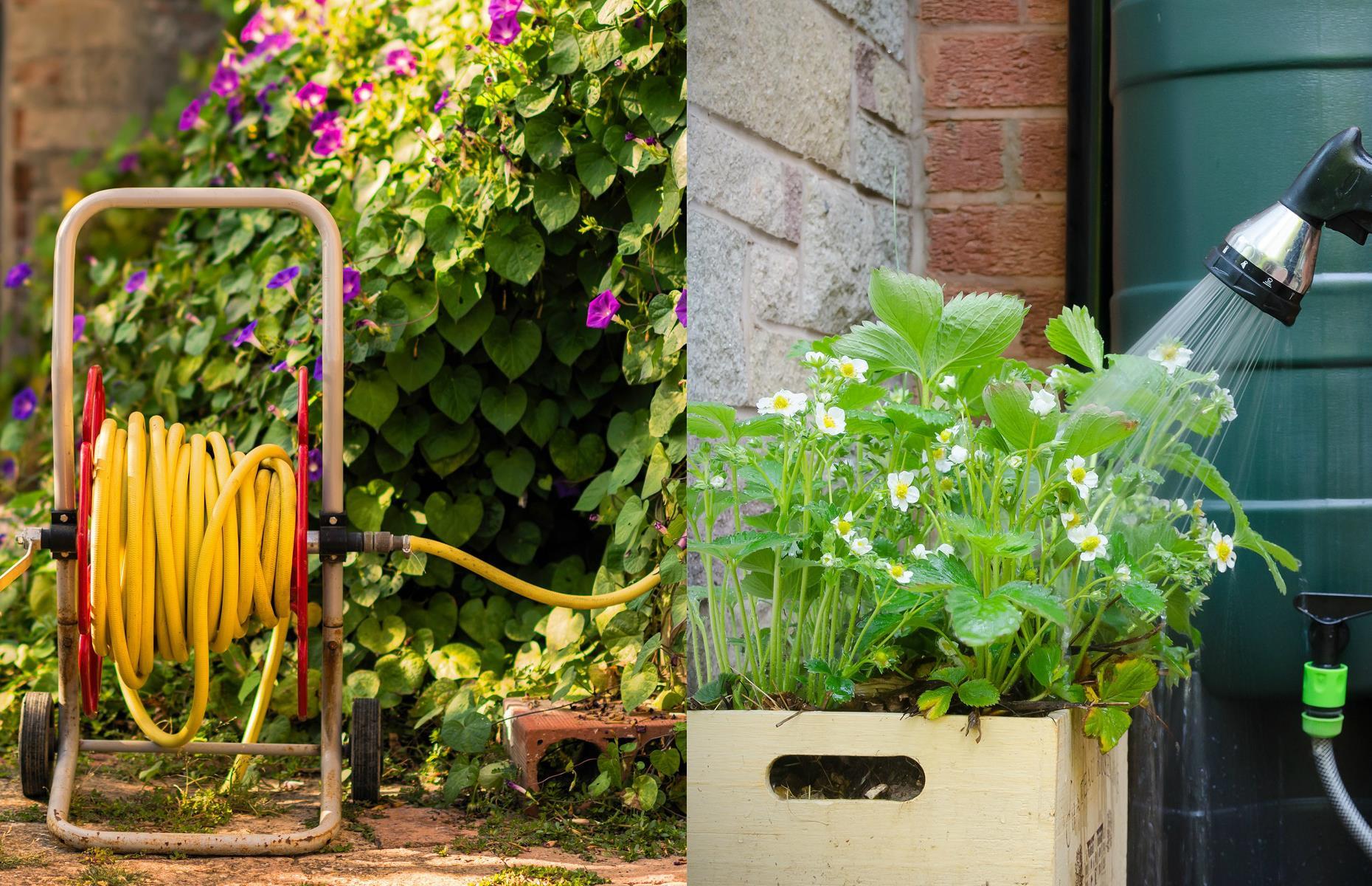 Swap a faucet water hose for a water butt 