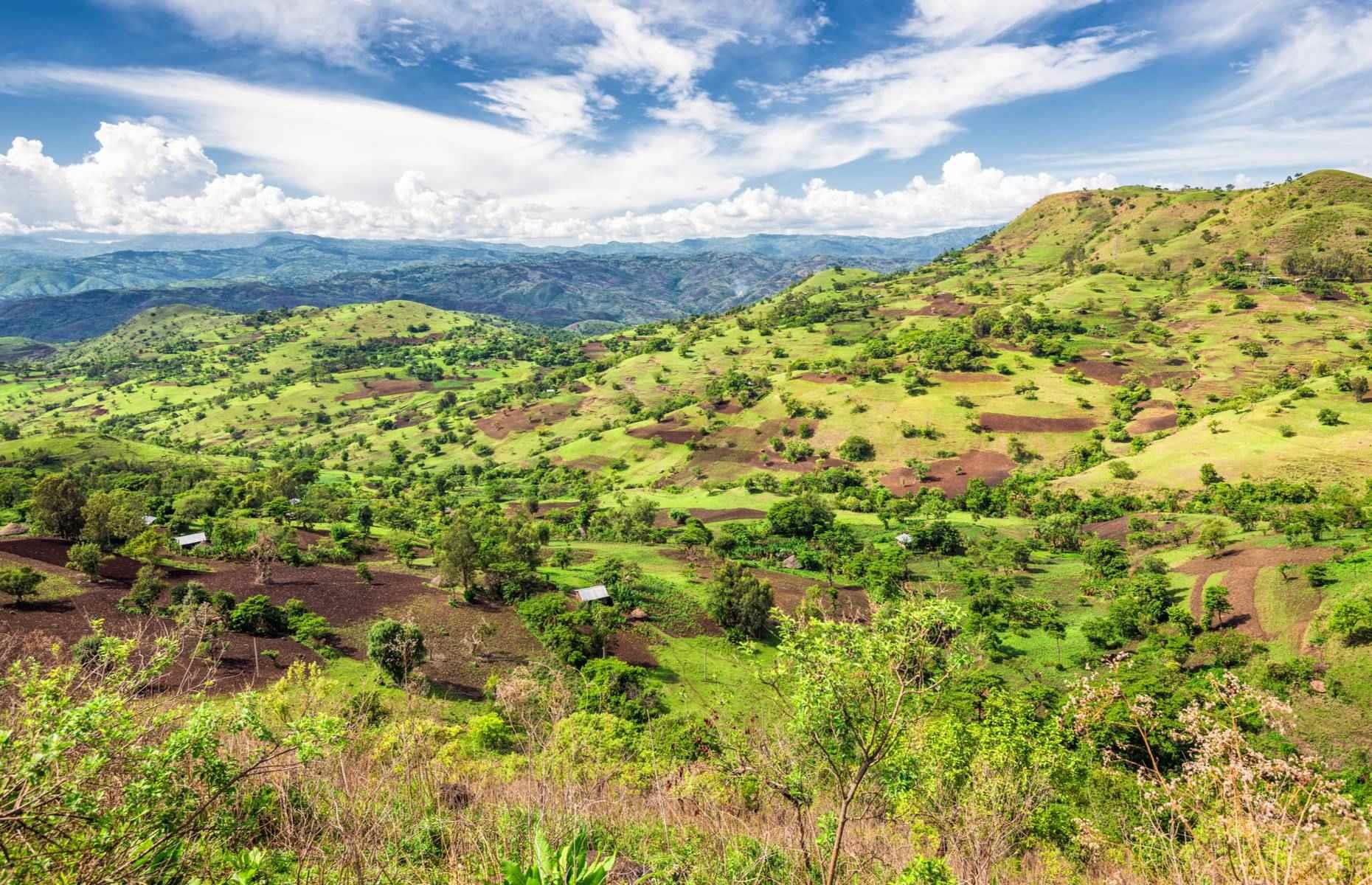 Coffee originates from Ethiopia