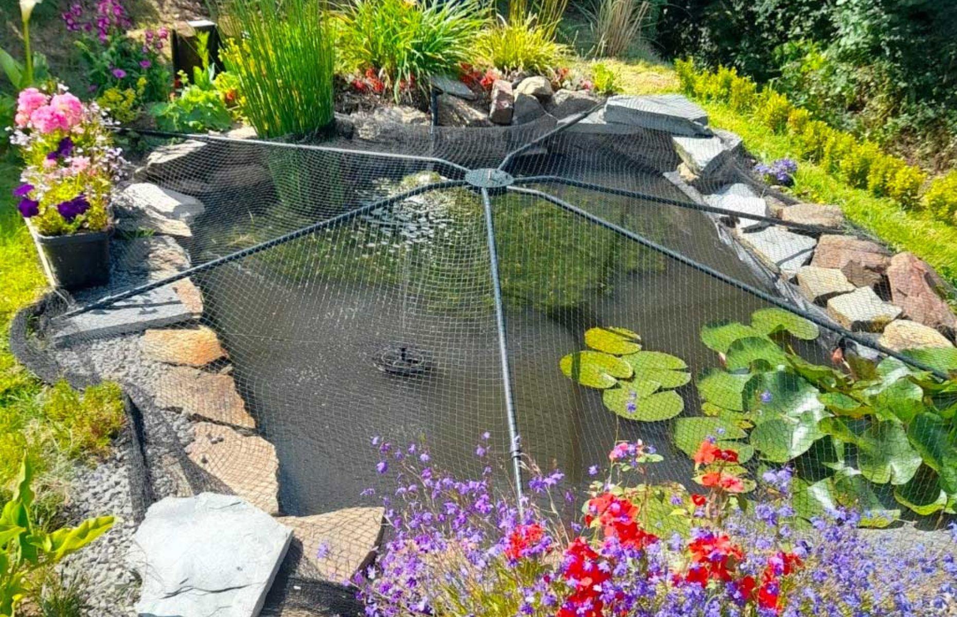 Swimming pools and ponds