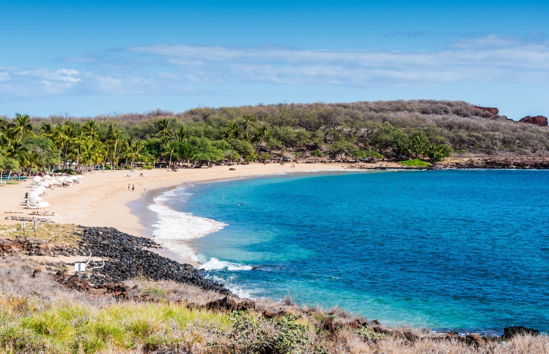 Lanai – Larry Ellison
