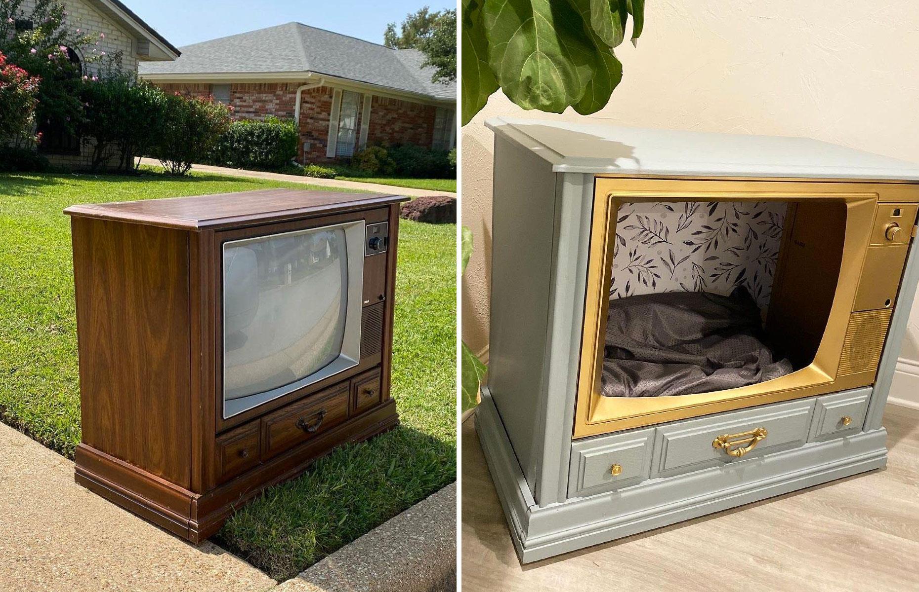 Create a retro pet palace