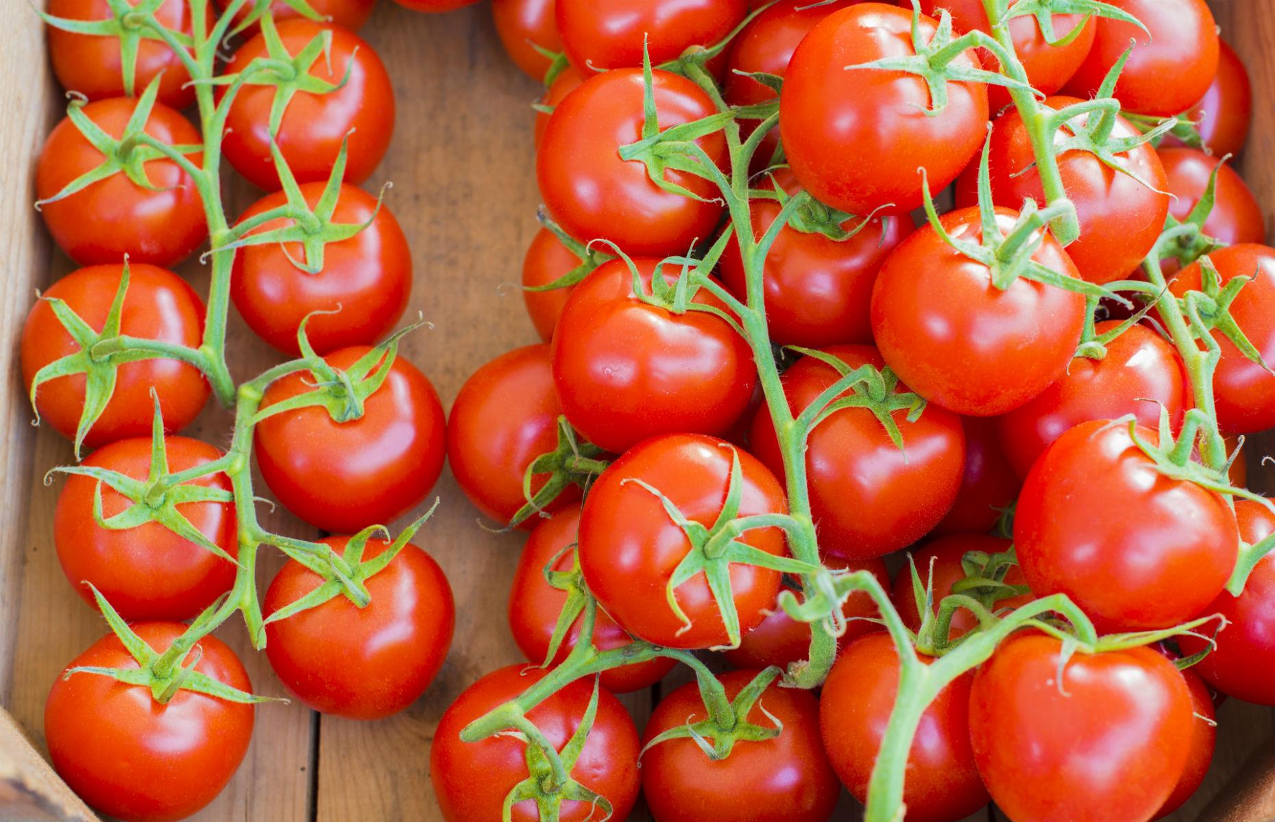 Tomatoes 