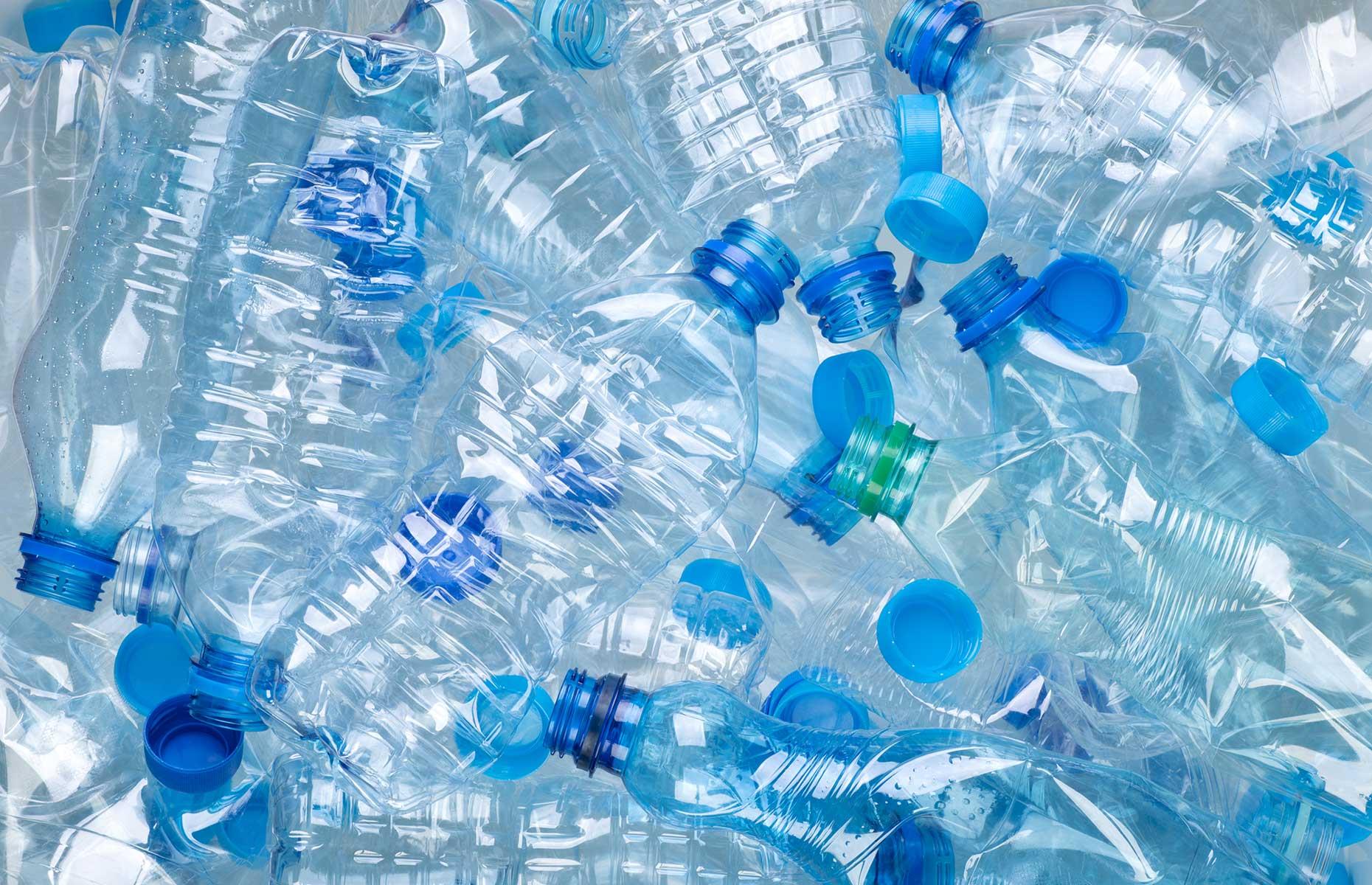 Plastic-fighting worms are saving our environment
