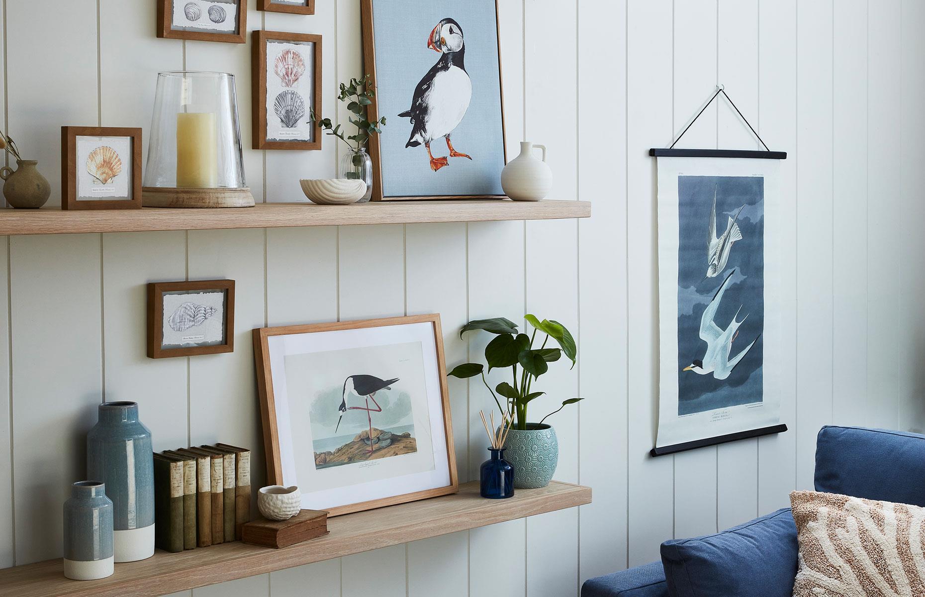 Display sea-life-inspired accessories