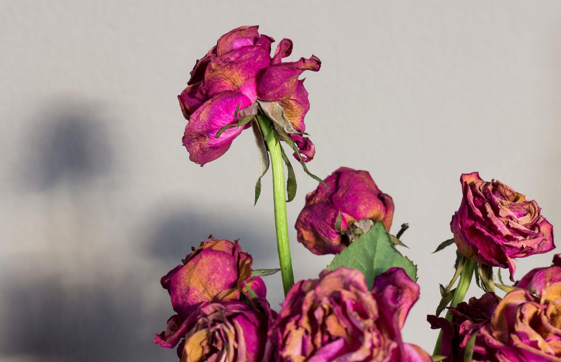 Recycle your old floral bouquets